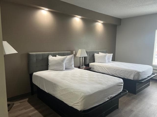 Baymont by Wyndham Lakeland gallery photo in Lakeland, FL — image 21