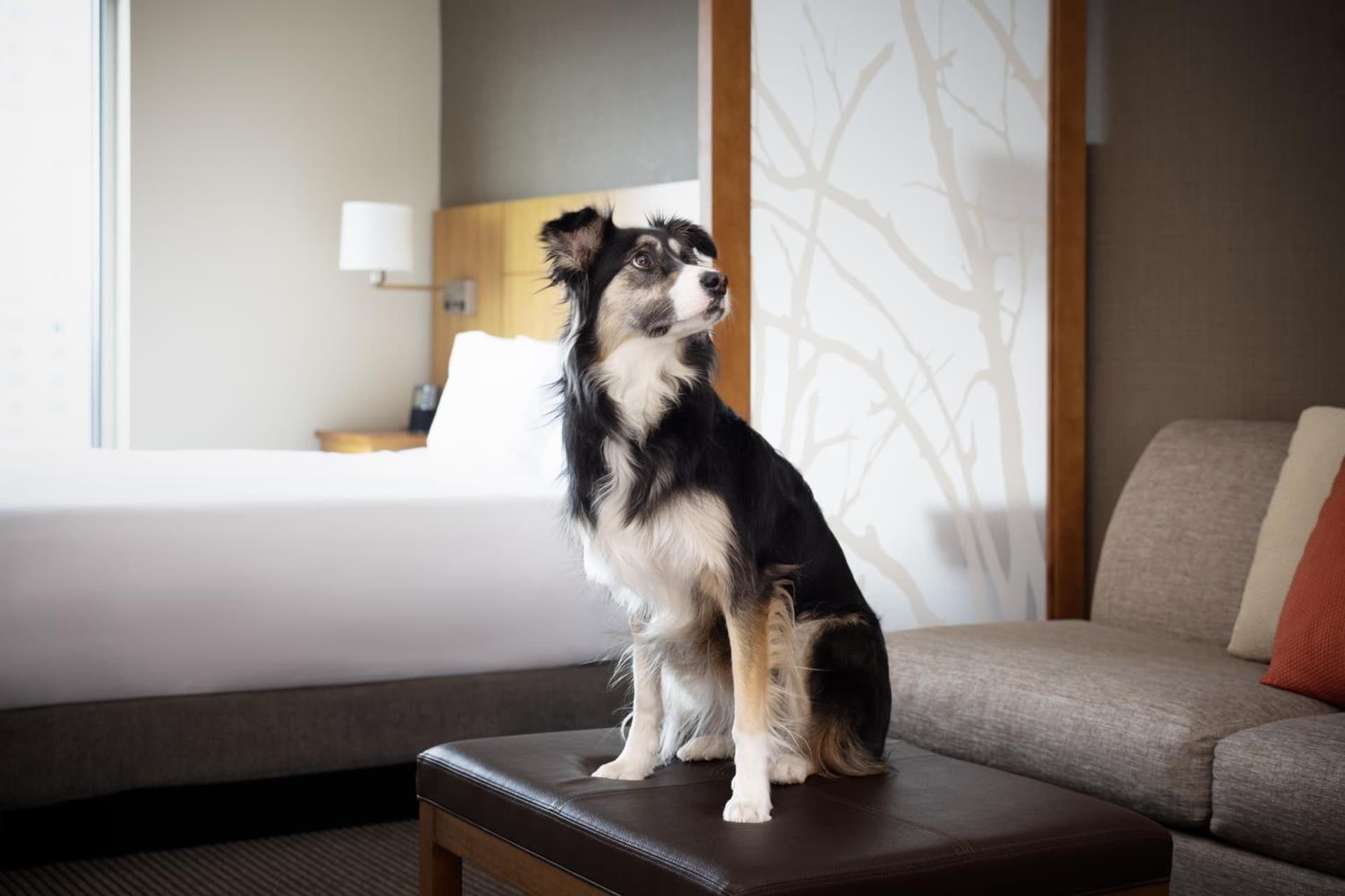Hyatt Place Denver Downtown gallery photo in Denver, CO — image 31