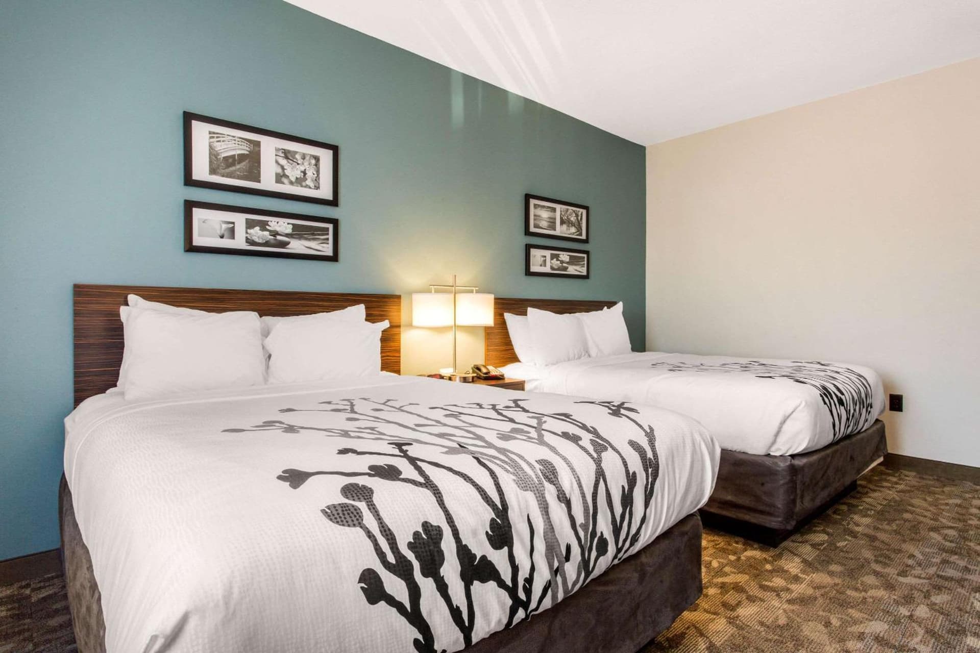 Sleep Inn & Suites Middletown - Goshen gallery photo in Middletown, NY — image 10