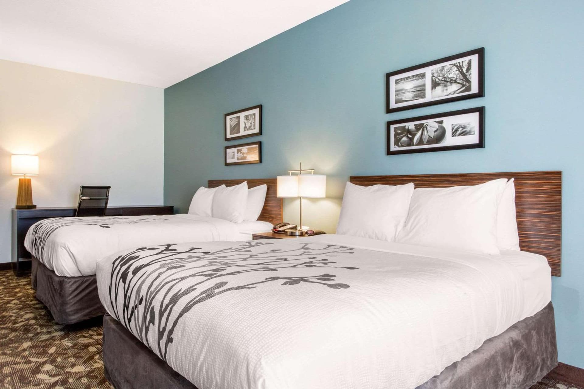 Sleep Inn & Suites Middletown - Goshen gallery photo in Middletown, NY — image 68