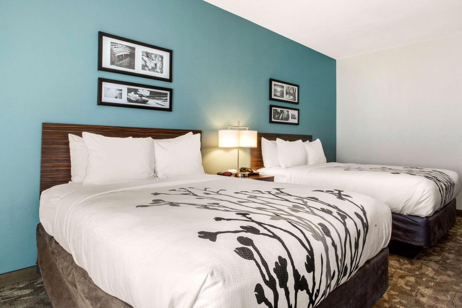 Sleep Inn & Suites Middletown - Goshen property views in Middletown, NY — gallery photo 3