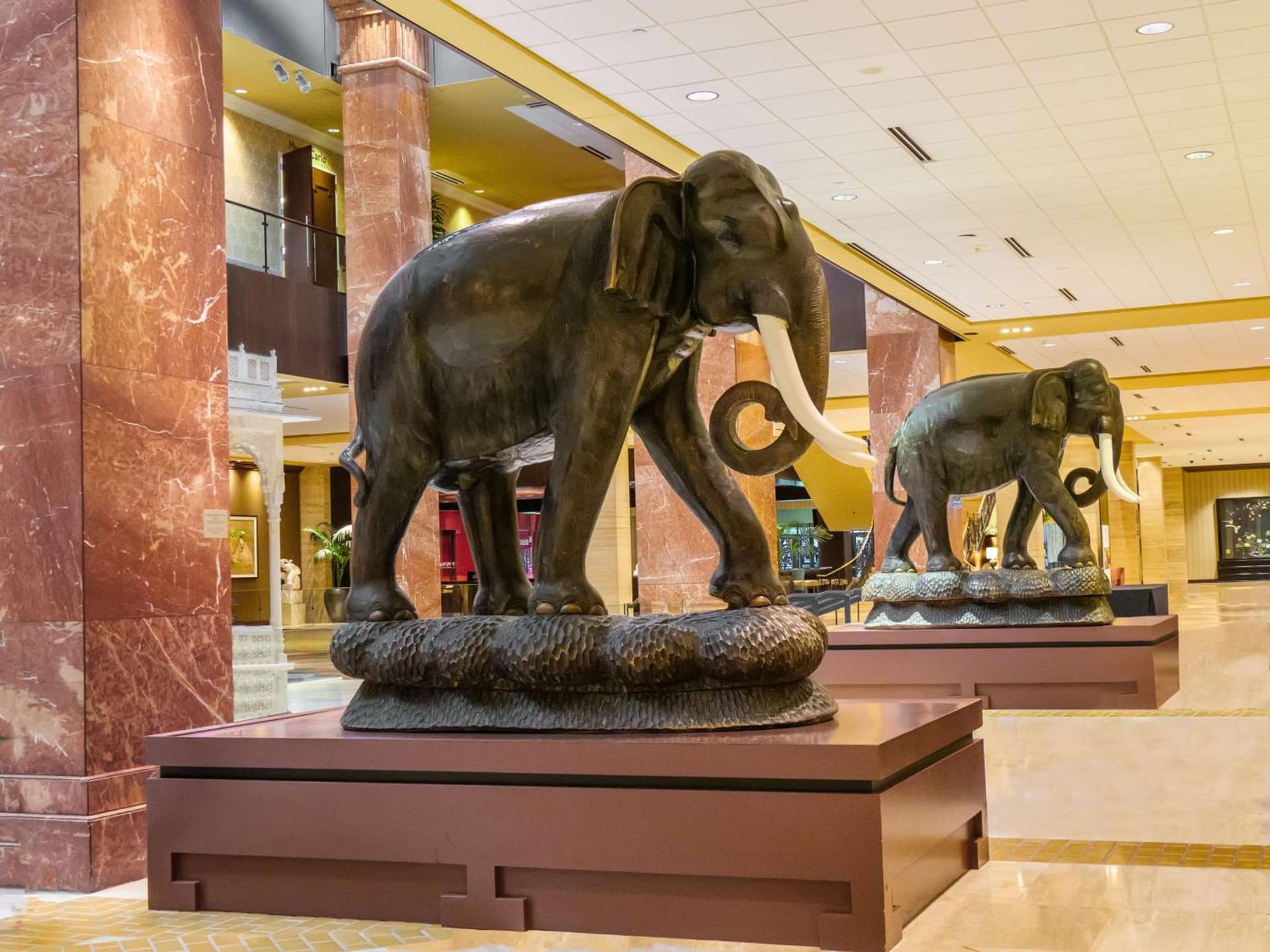Hilton Anatole gallery photo in Dallas, TX — image 41