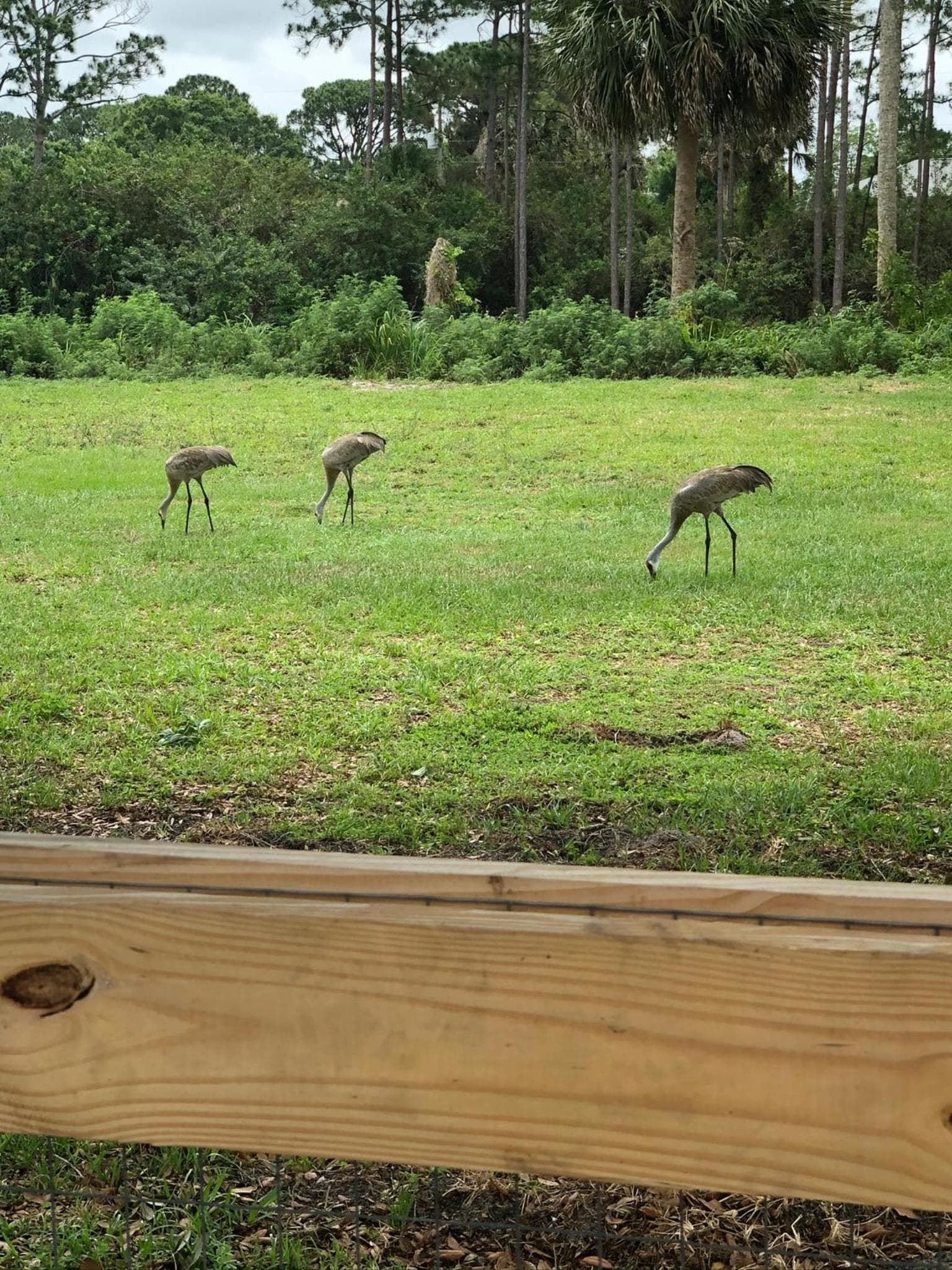 Great escape gallery photo in Palm Bay, FL — image 7
