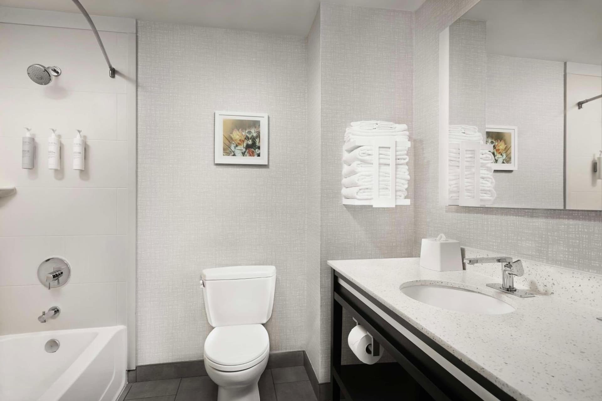 Hampton Inn & Suites El Paso/East gallery photo in El Paso, TX — image 34