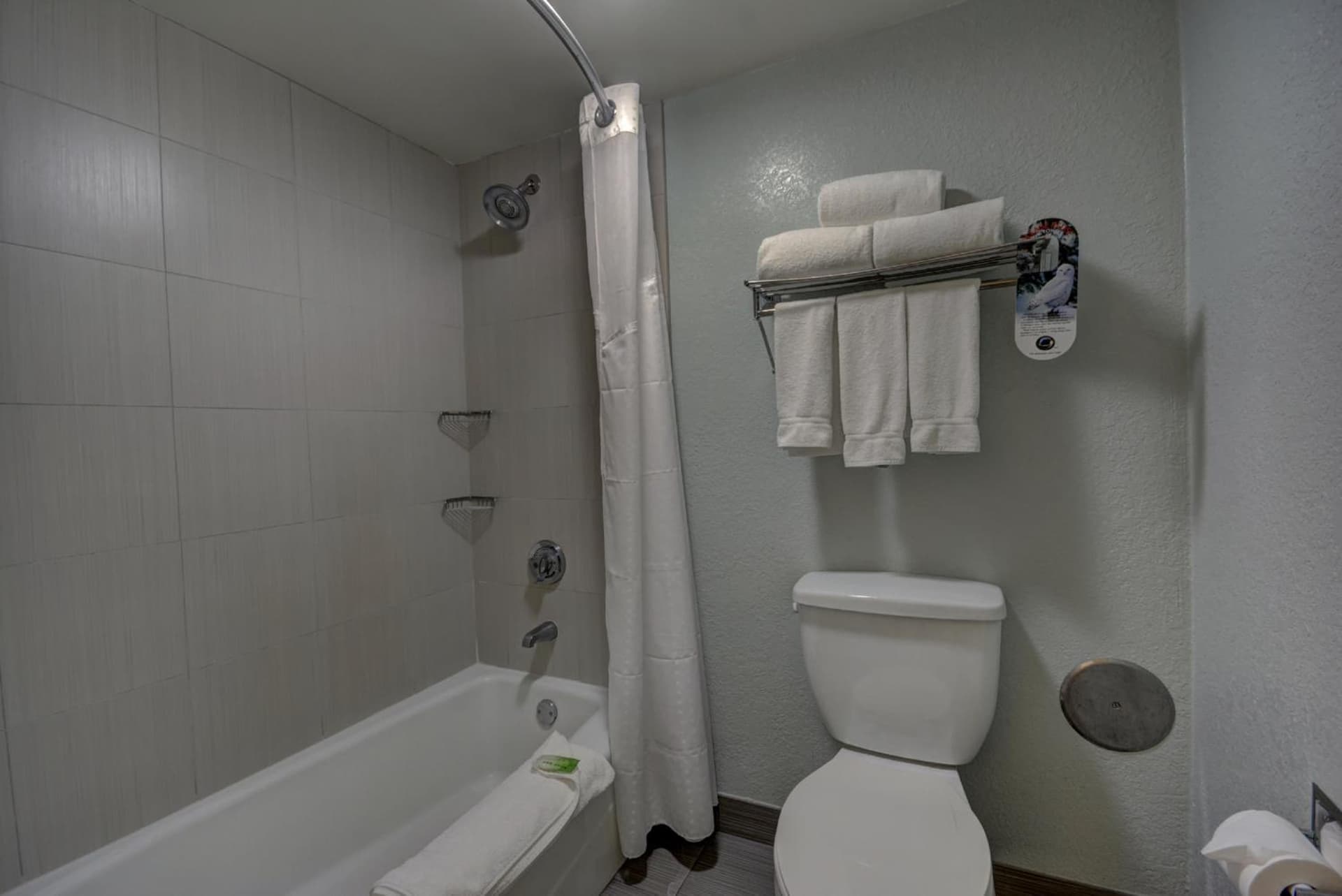 Holiday Inn Express Hotel & Suites Ft. Lauderdale-Plantation by IHG gallery photo in Plantation, FL — image 52