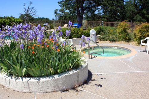 Oak Ridge Inn gallery photo in Plymouth, CA — image 9