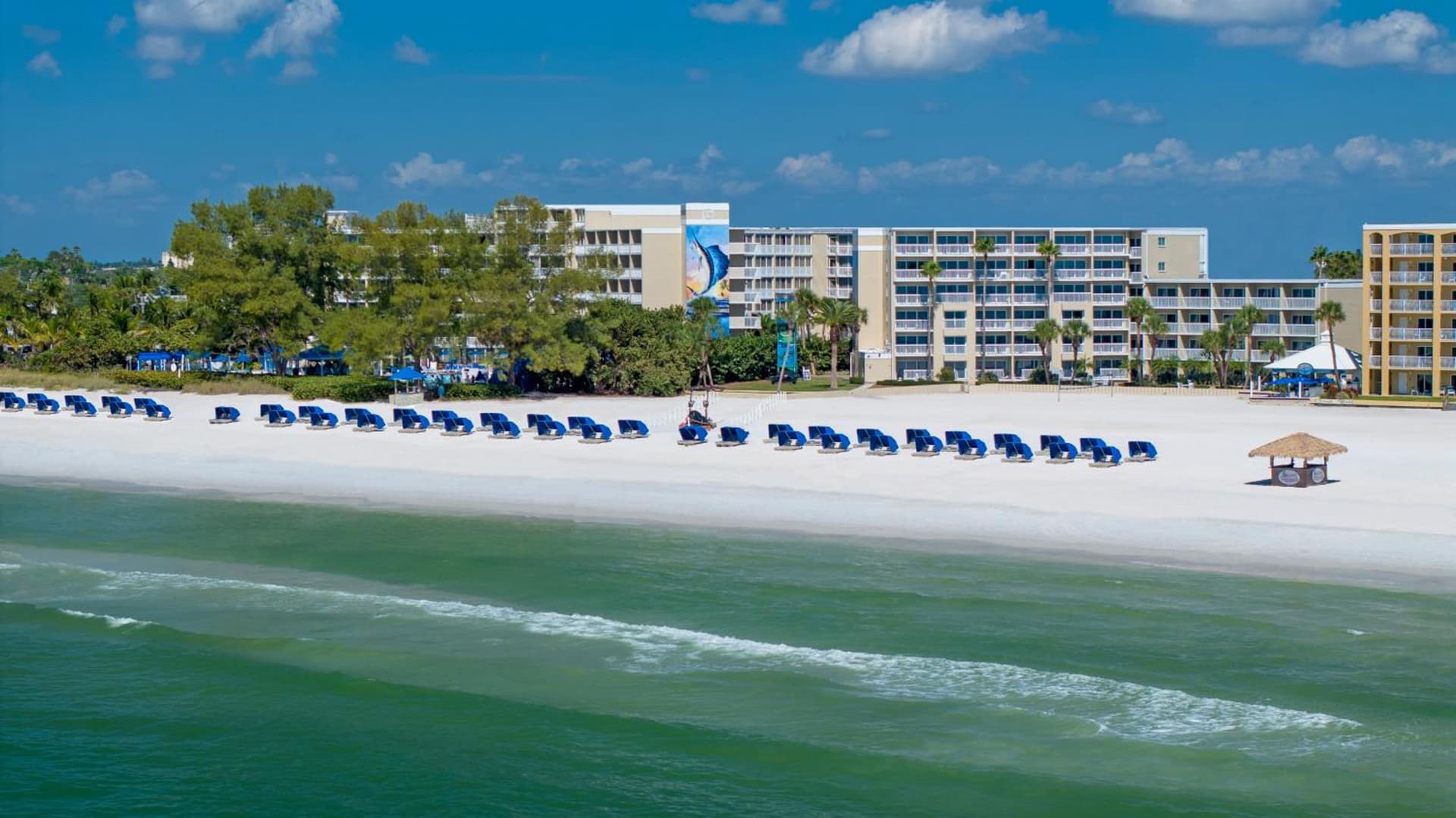 RumFish Beach at TradeWinds gallery photo in St Pete Beach, FL — image 11