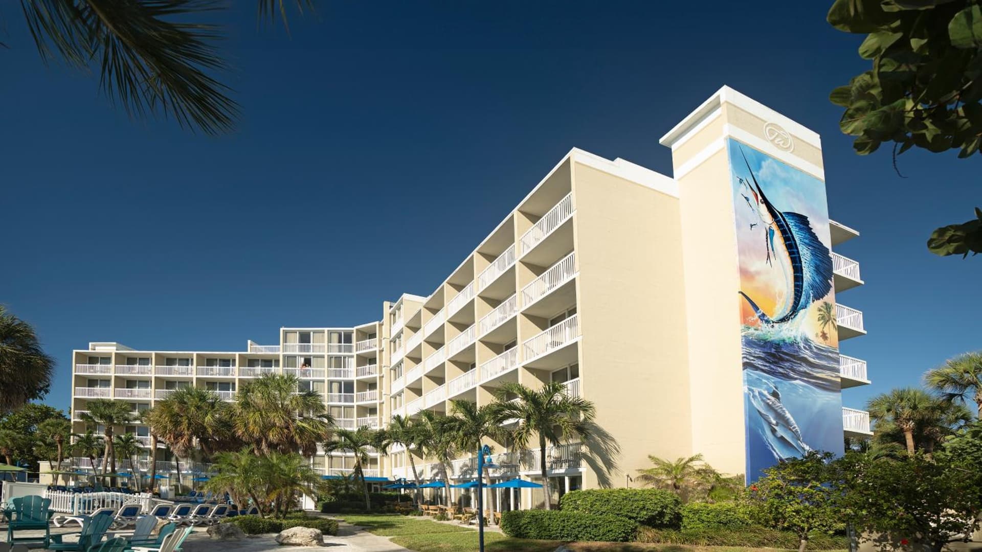RumFish Beach at TradeWinds gallery photo in St Pete Beach, FL — image 29
