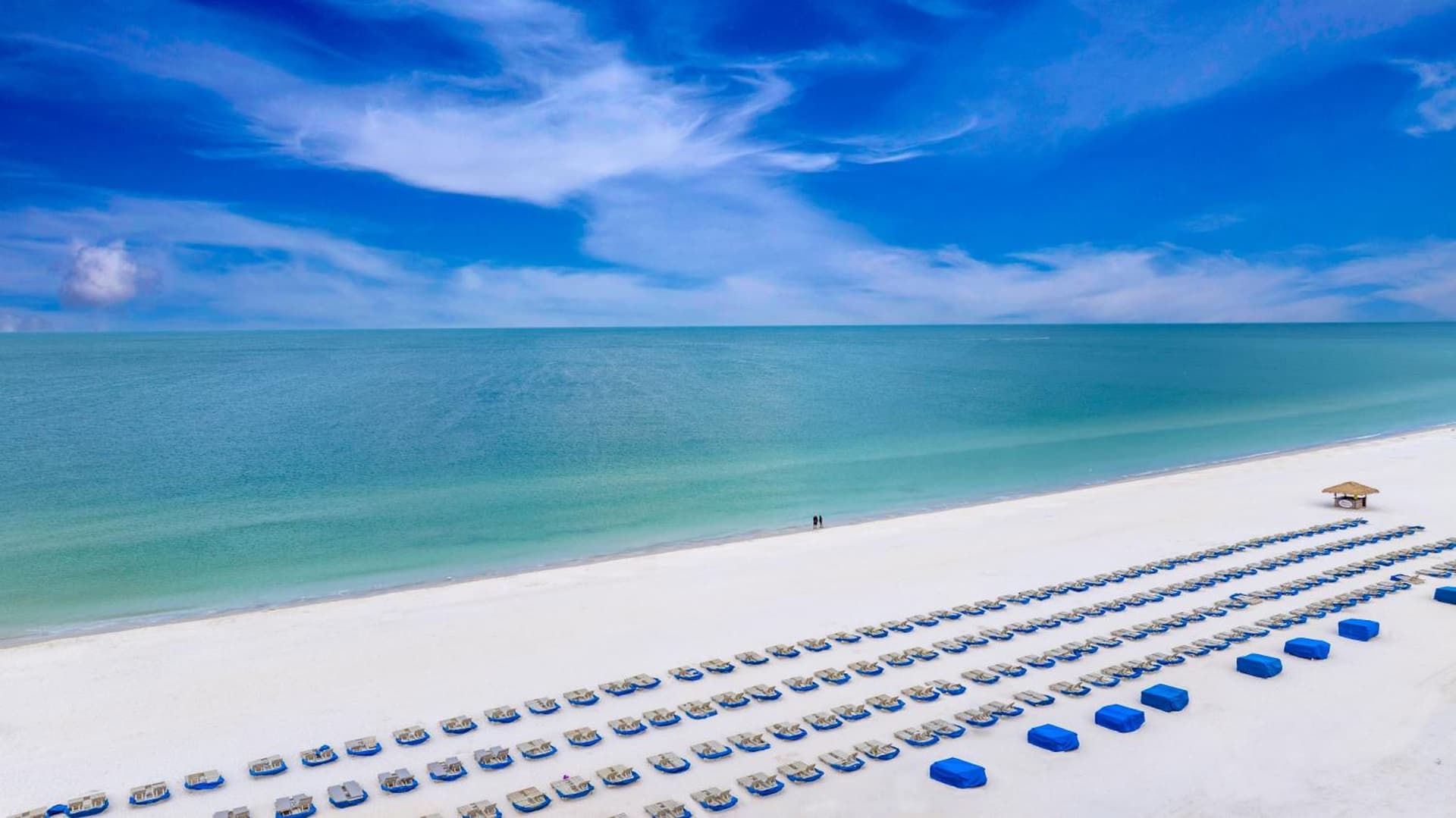 RumFish Beach at TradeWinds gallery photo in St Pete Beach, FL — image 20