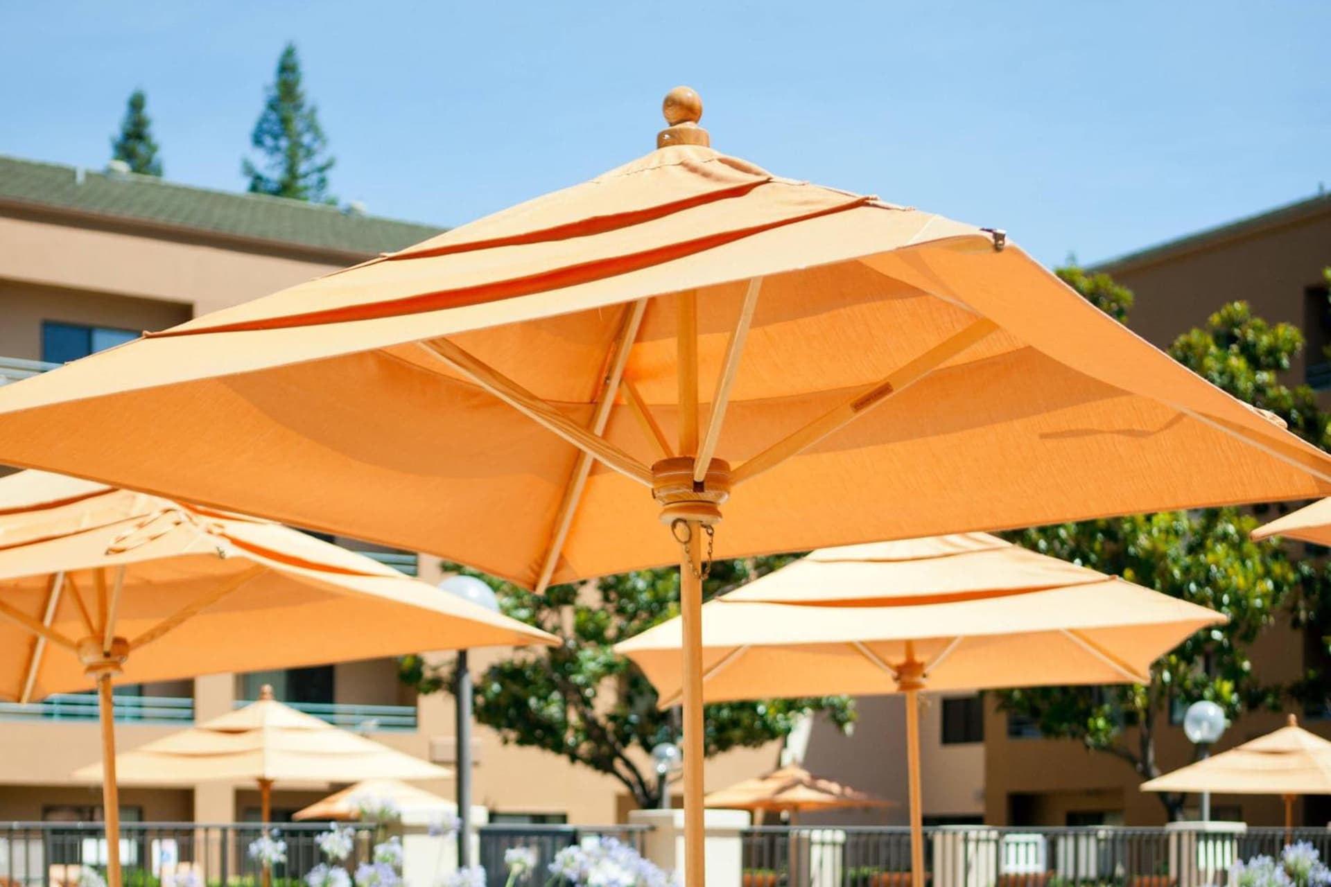 Courtyard Sacramento Airport Natomas property views in Sacramento, CA — gallery photo 3