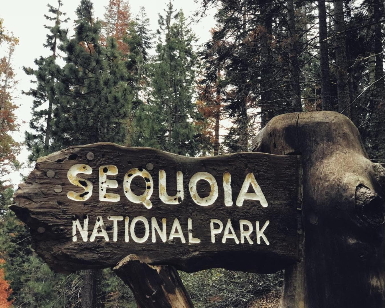 AutoCamp Sequoia gallery photo in Three Rivers, CA — image 16