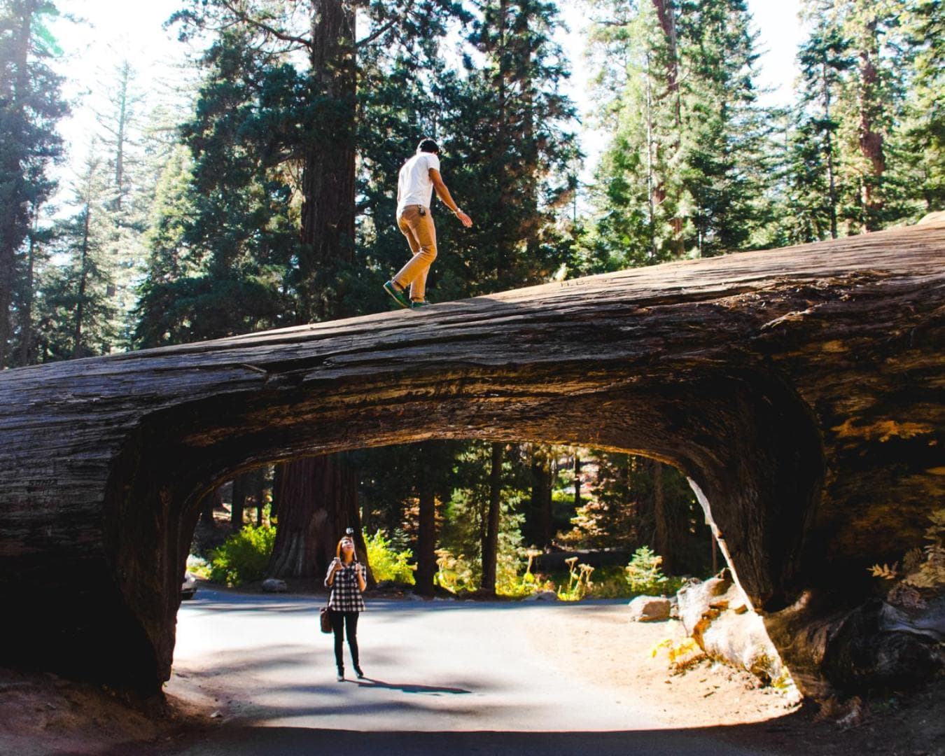 AutoCamp Sequoia gallery photo in Three Rivers, CA — image 4