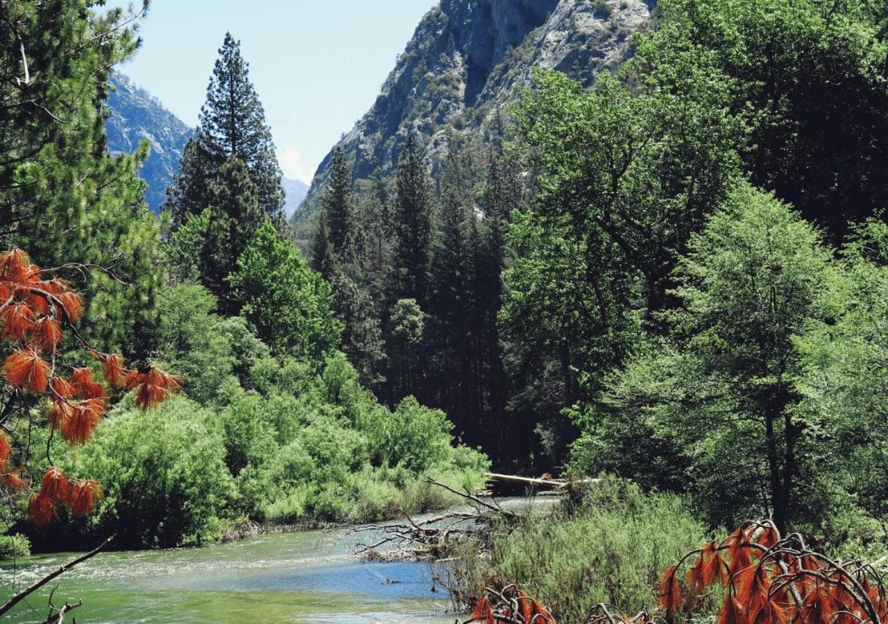 AutoCamp Sequoia property views in Three Rivers, CA — gallery photo 3