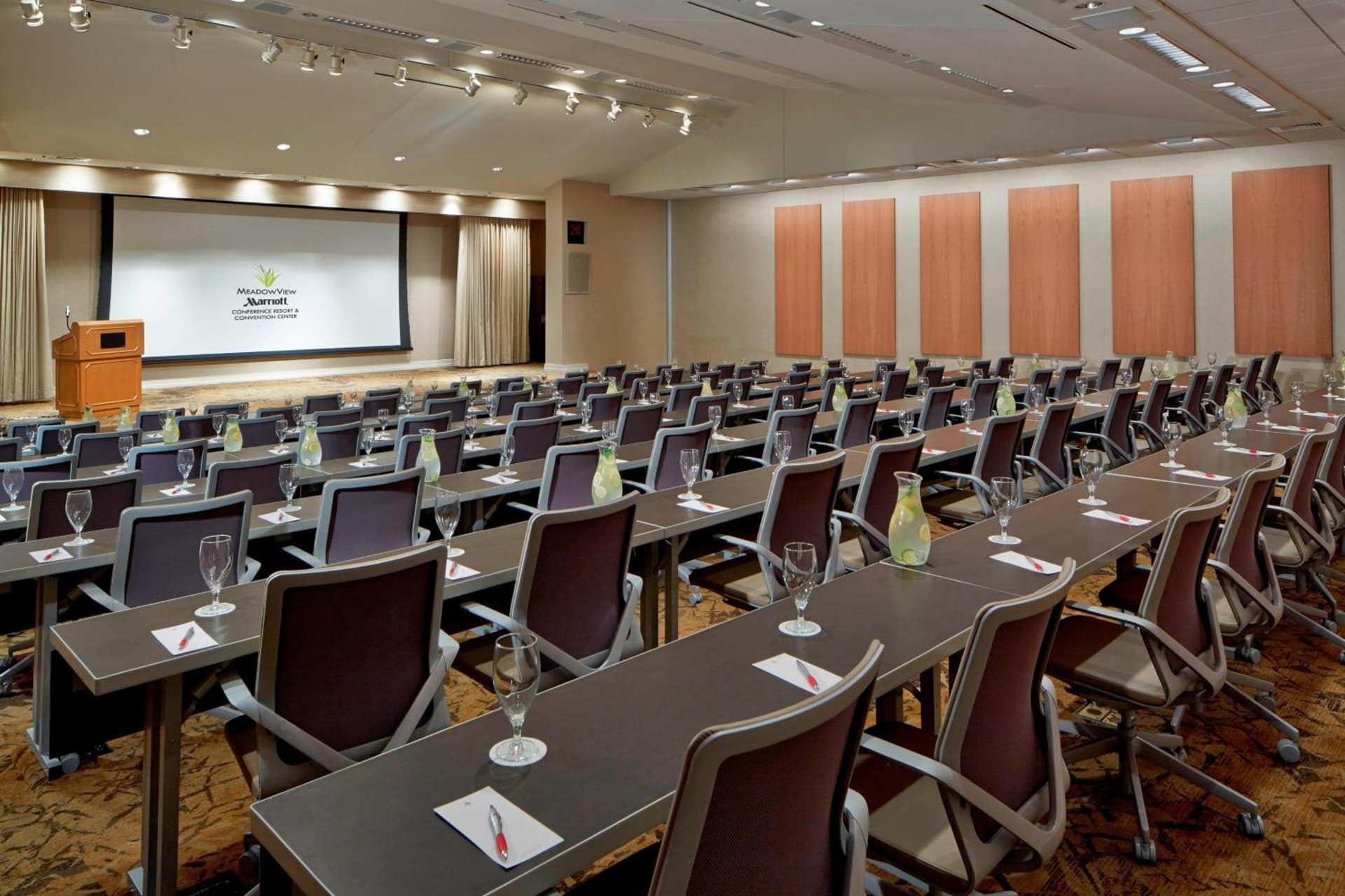 MeadowView Marriott Conference Resort and Convention Center gallery photo in Kingsport, TN — image 59