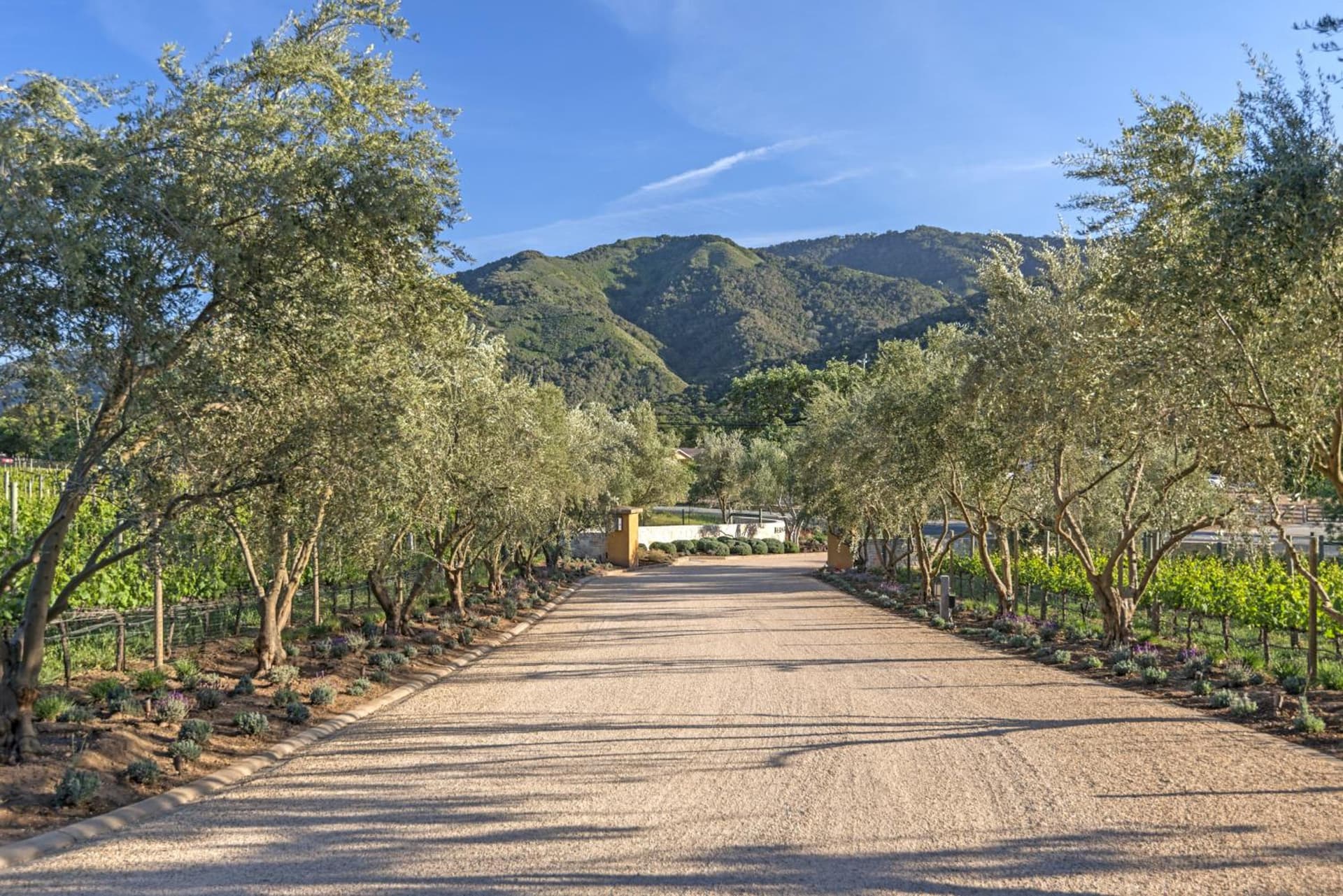 Bernardus Lodge & Spa property views in Carmel Valley, CA — gallery photo 3