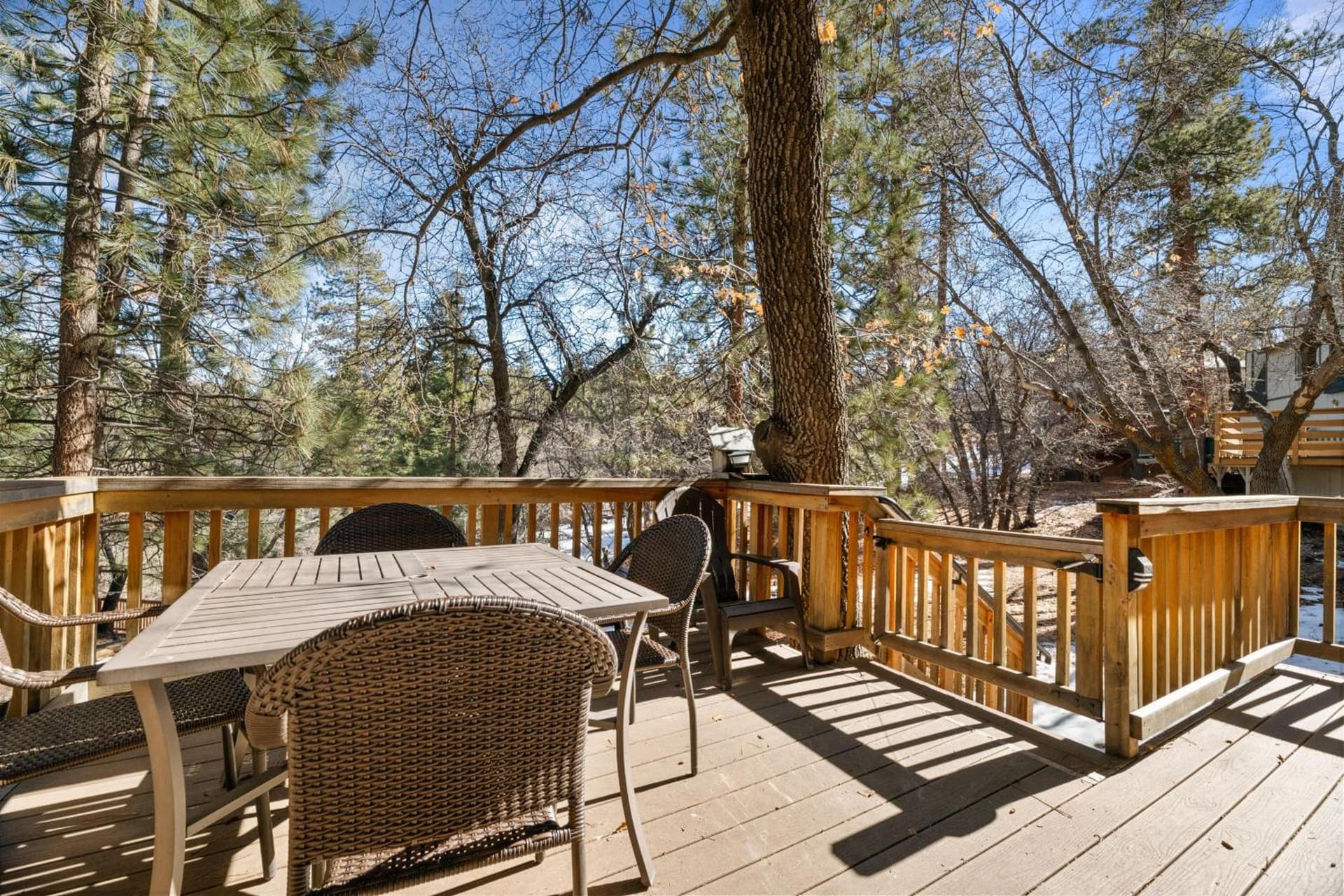 MOUNTAIN MINT - Close to Lake and Slopes interior in Big Bear Lake, CA — gallery photo 2