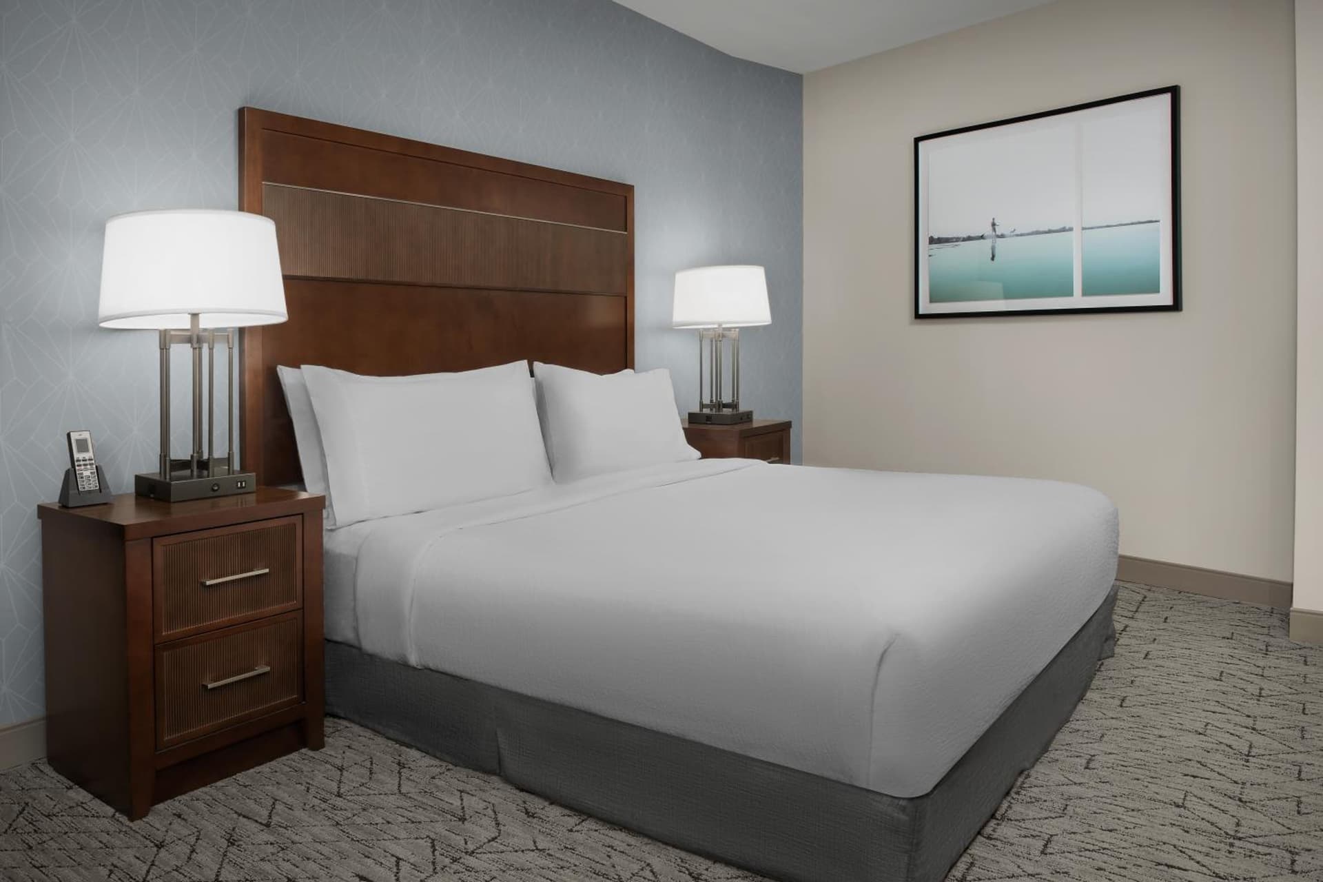 Embassy Suites Springfield gallery photo in Springfield, VA — image 74