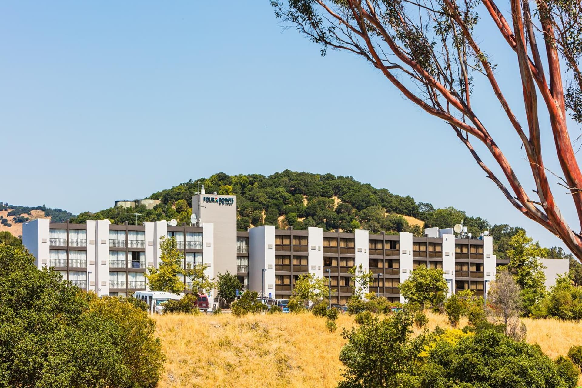 Marin Hilltop Hotel — hotel in San Rafael, California