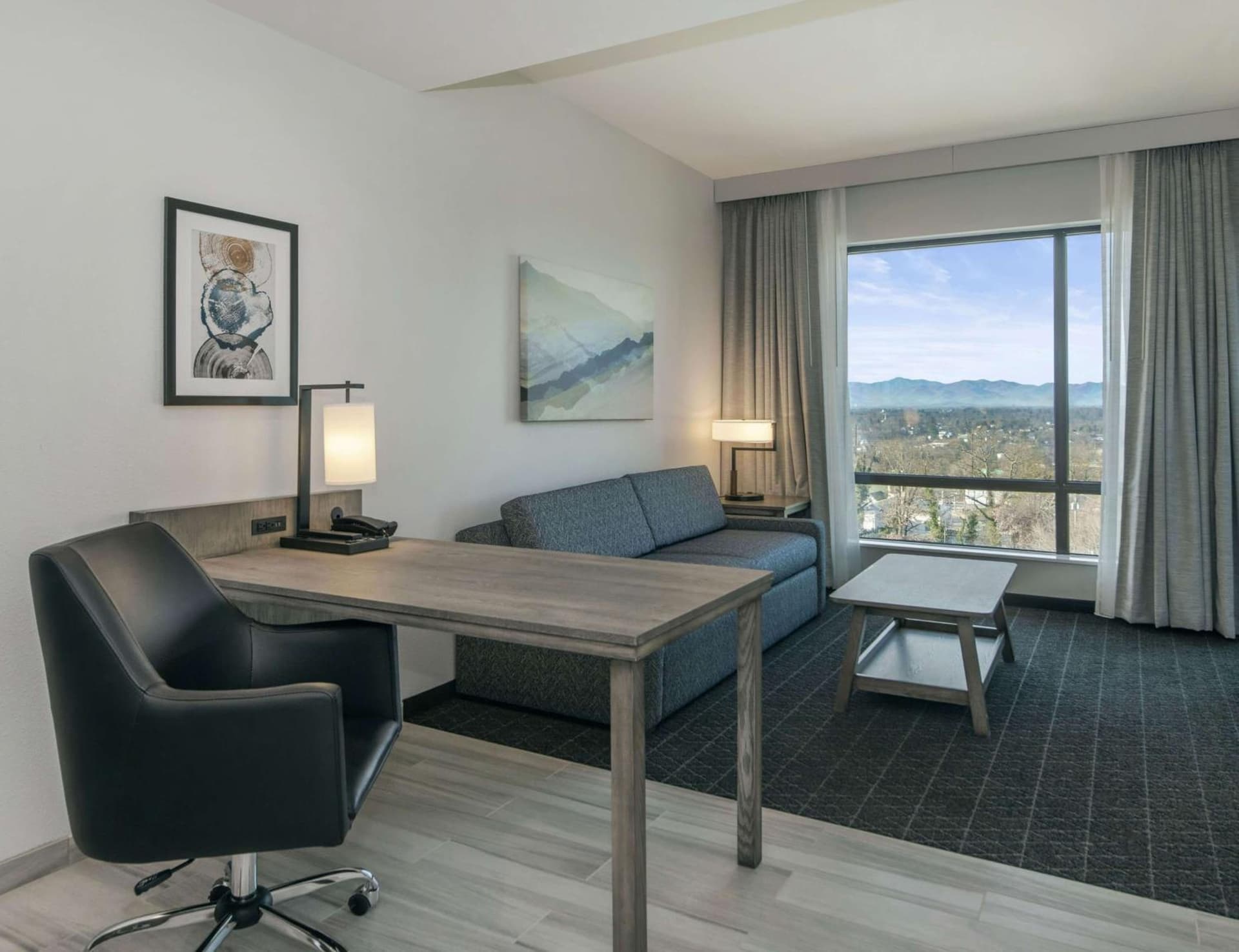 Embassy Suites By Hilton Asheville Downtown gallery photo in Asheville, NC — image 34