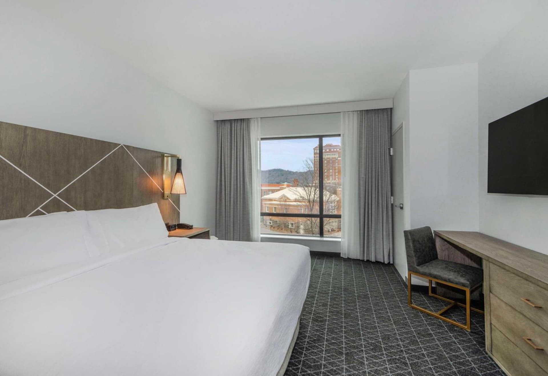Embassy Suites By Hilton Asheville Downtown gallery photo in Asheville, NC — image 39