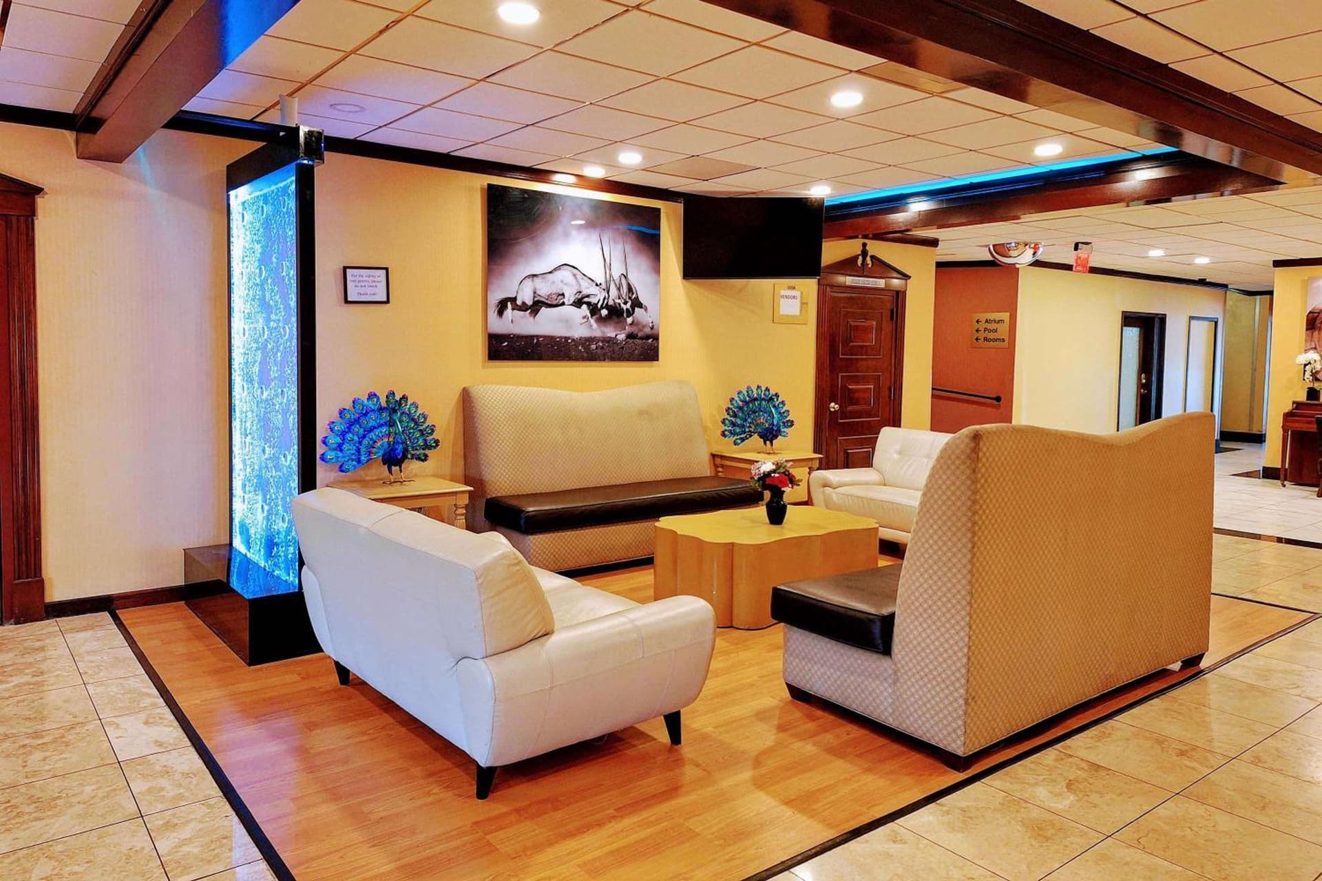 Travelodge by Wyndham Indianapolis Speedway gallery photo in Indianapolis, IN — image 8