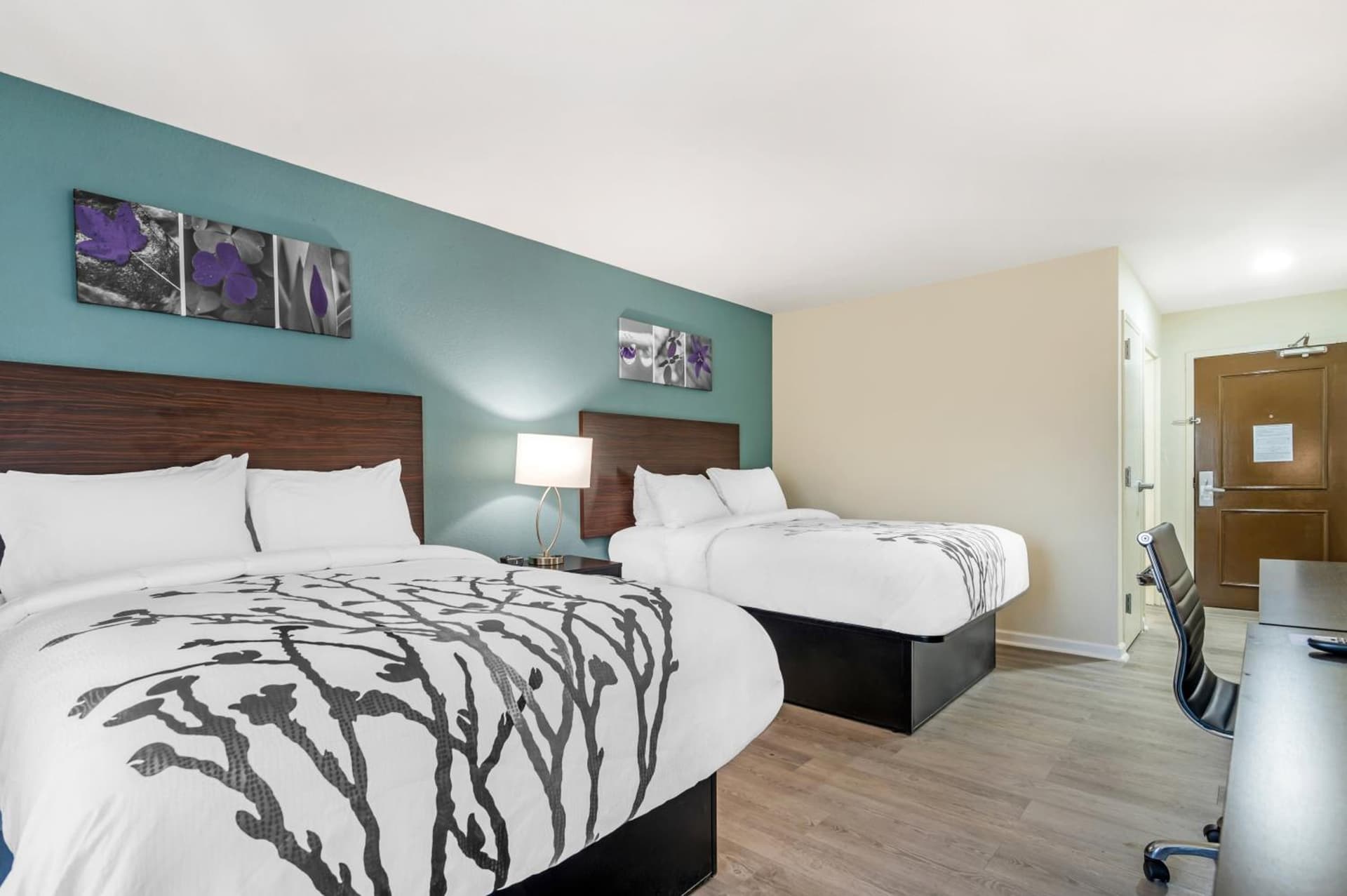Sleep Inn & Suites Newport News City Center Area gallery photo in Newport News, VA — image 47