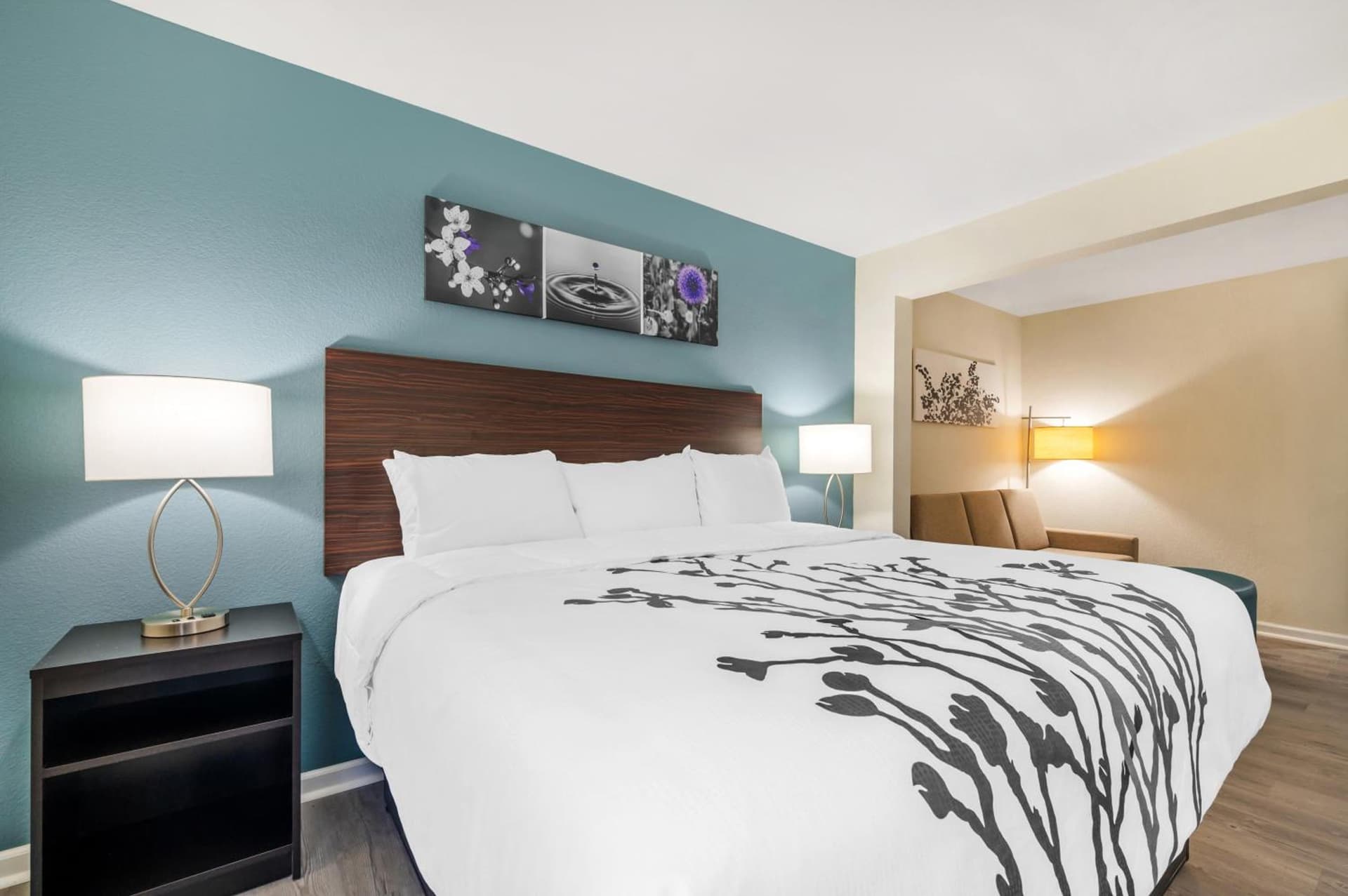 Sleep Inn & Suites Newport News City Center Area gallery photo in Newport News, VA — image 30