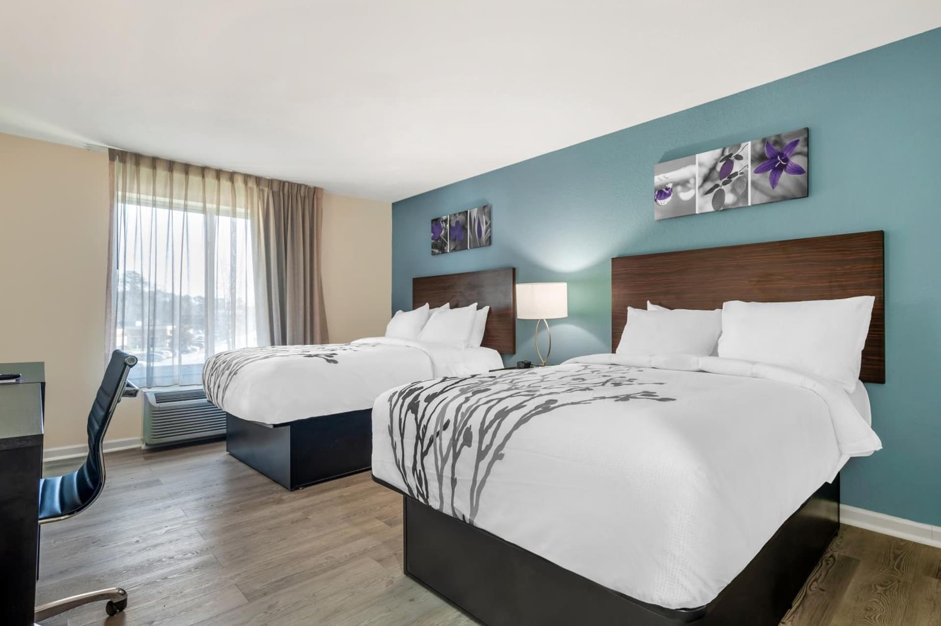 Sleep Inn & Suites Newport News City Center Area gallery photo in Newport News, VA — image 69