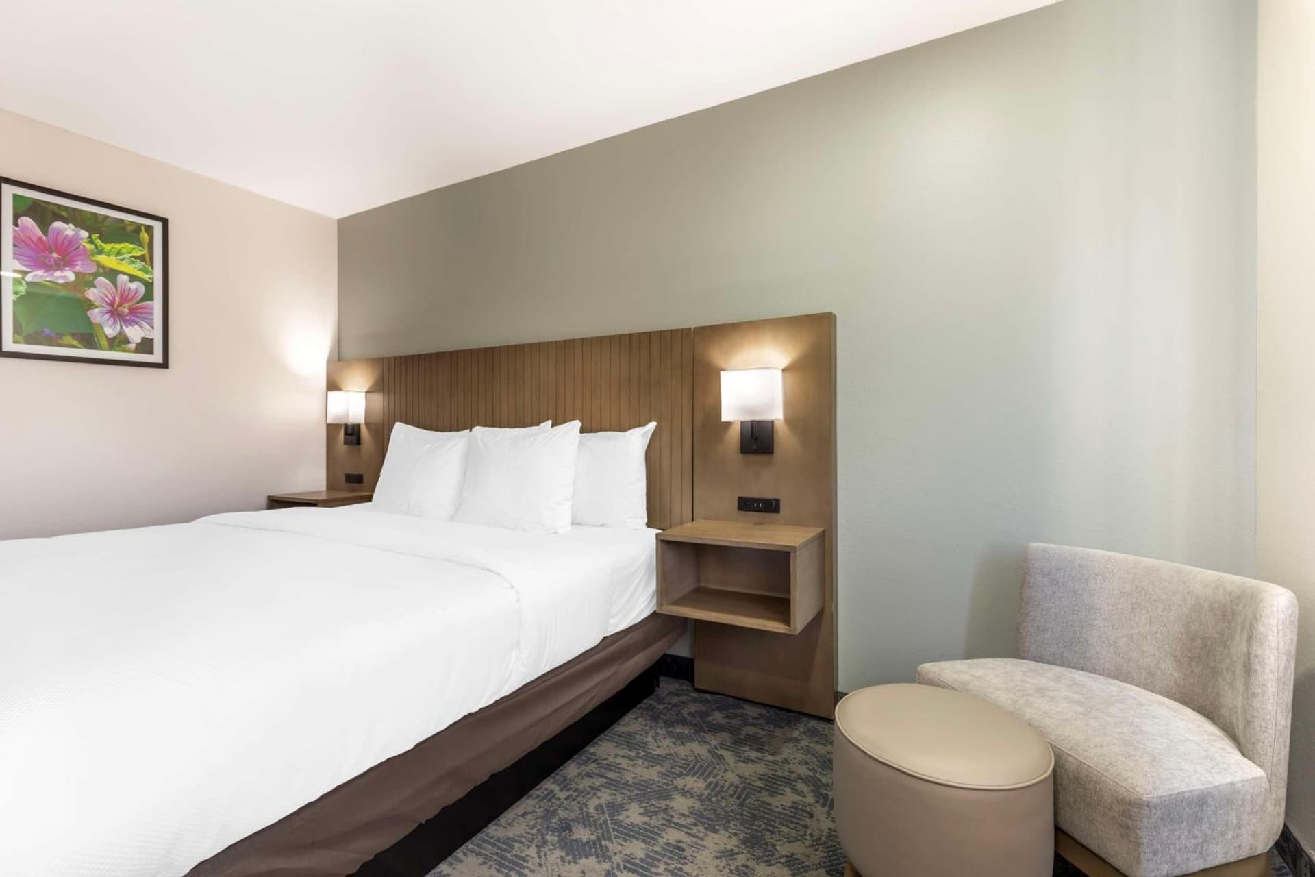 Best Western North Side Inn gallery photo in Wichita Falls, TX — image 10