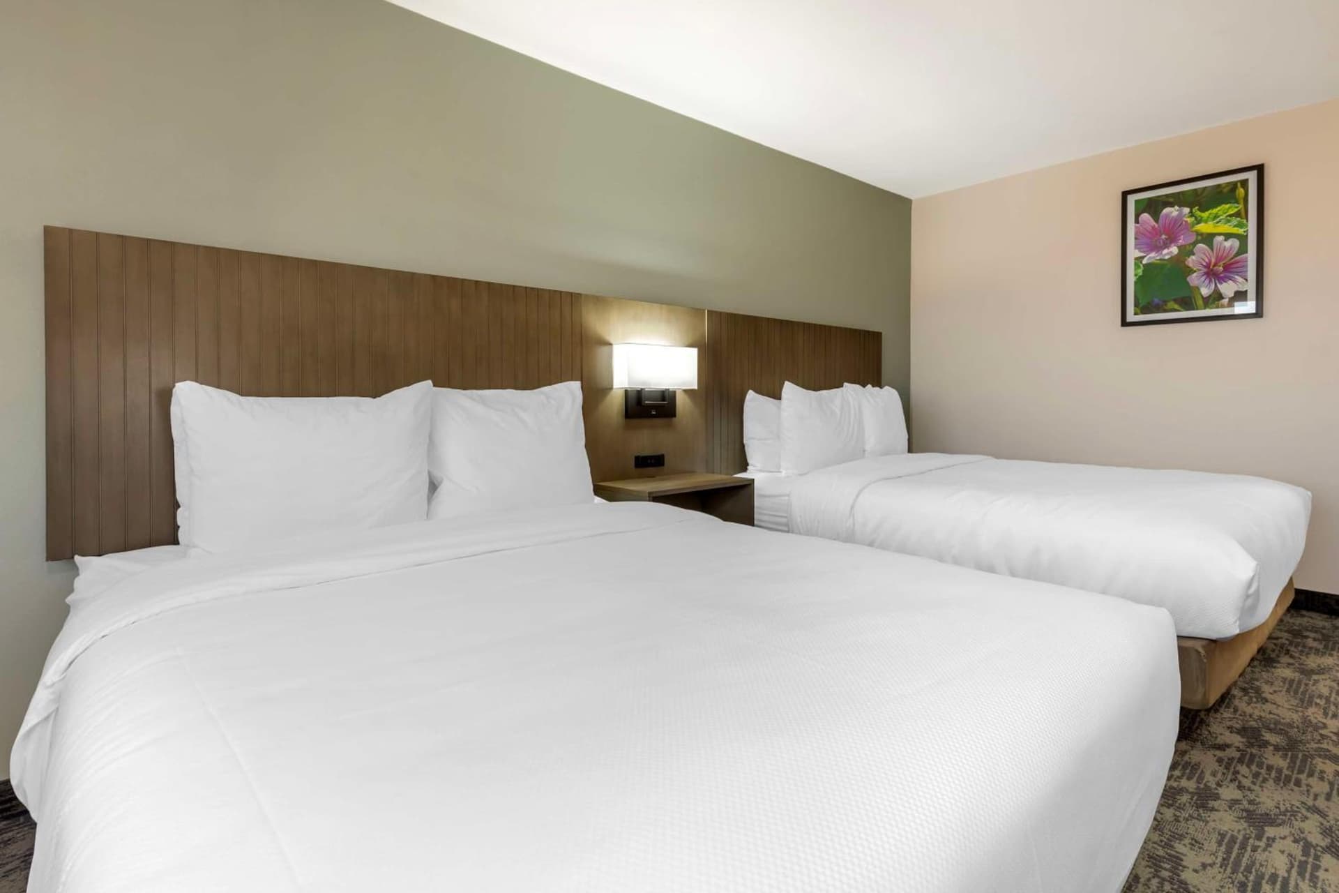 Best Western North Side Inn gallery photo in Wichita Falls, TX — image 14
