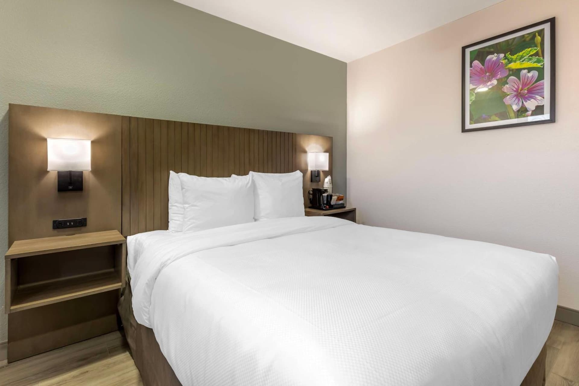 Best Western North Side Inn gallery photo in Wichita Falls, TX — image 17