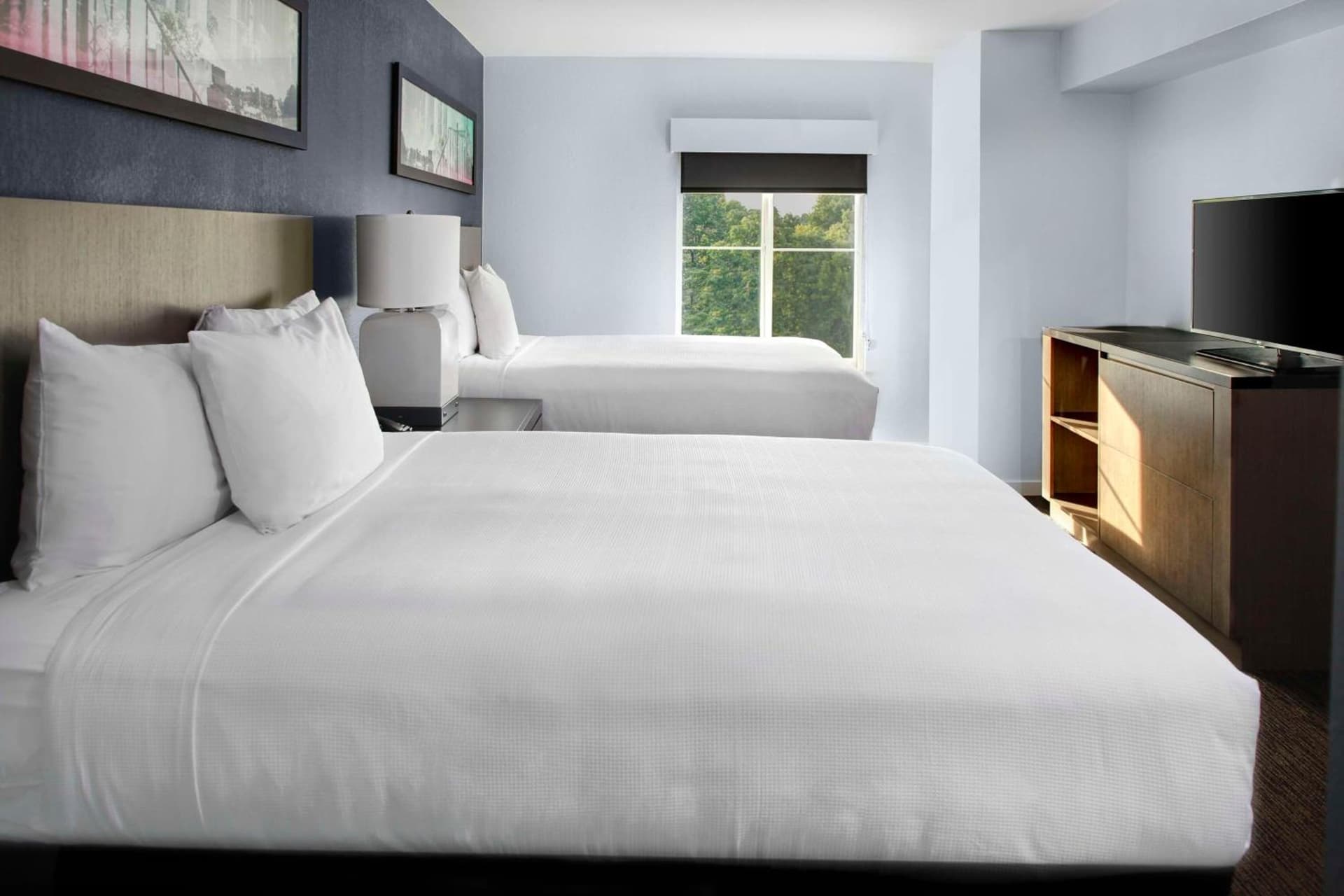 Hyatt House Sterling/Dulles Airport North gallery photo in Sterling, VA — image 46