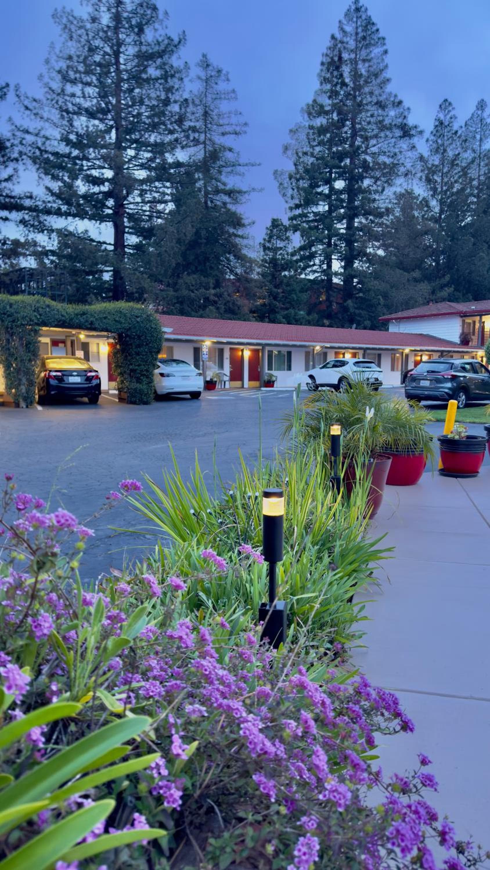 The Palo Alto Inn gallery photo in Palo Alto, CA — image 26