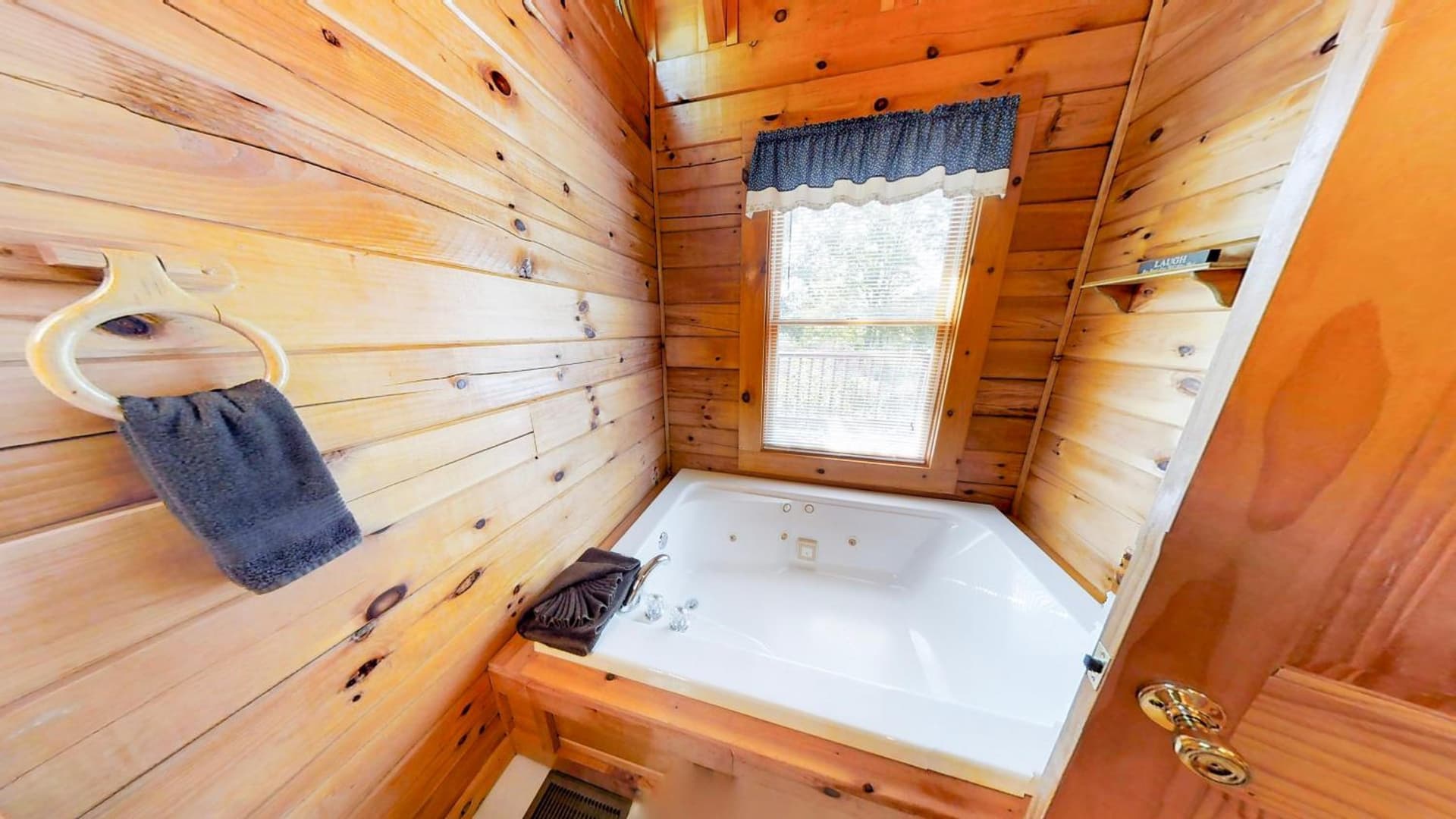 Steele Away 3 Bedrooms property views in Sevierville, TN — gallery photo 3