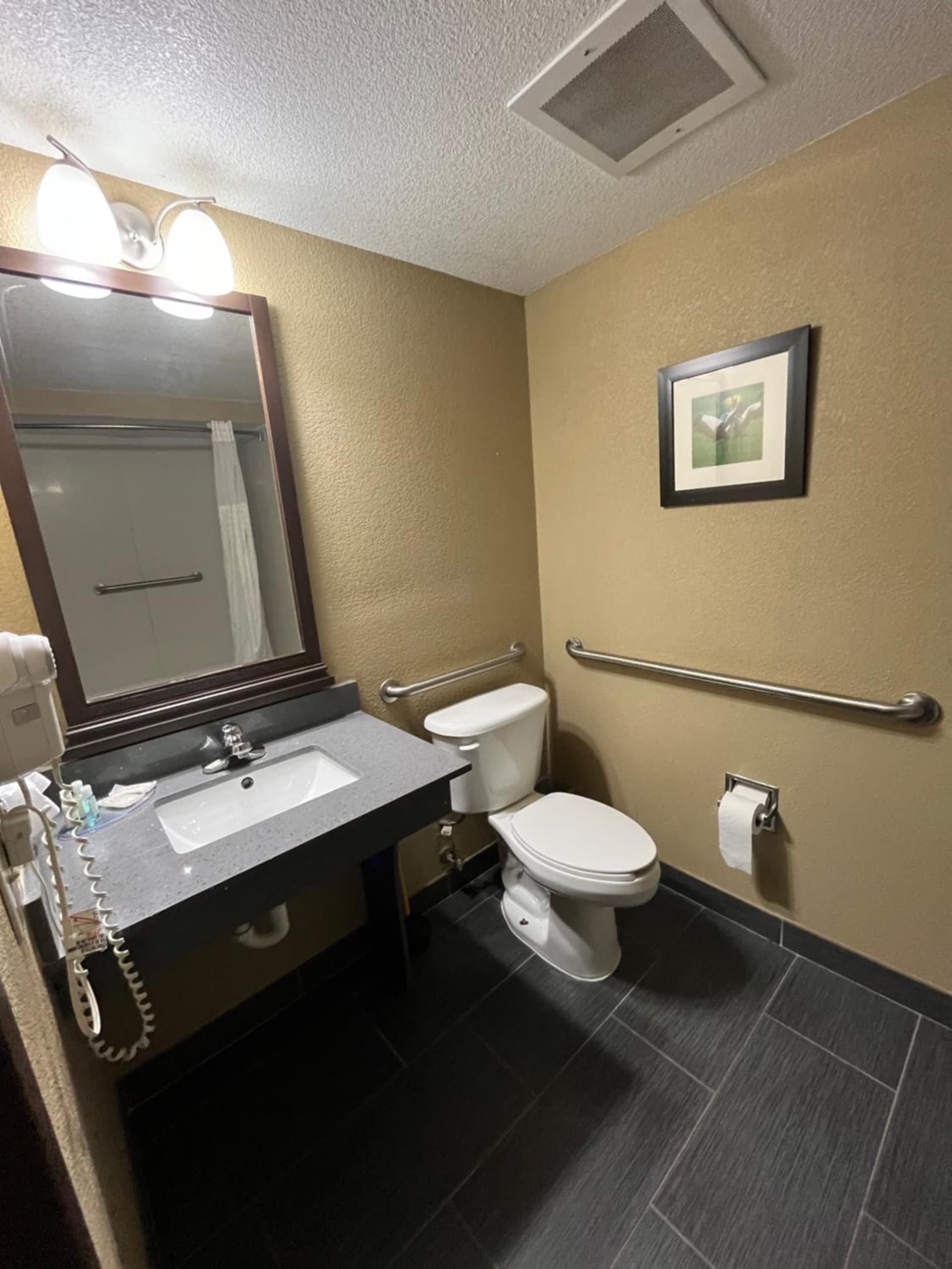 Quality Suites Graham - Burlington South gallery photo in Graham, NC — image 26