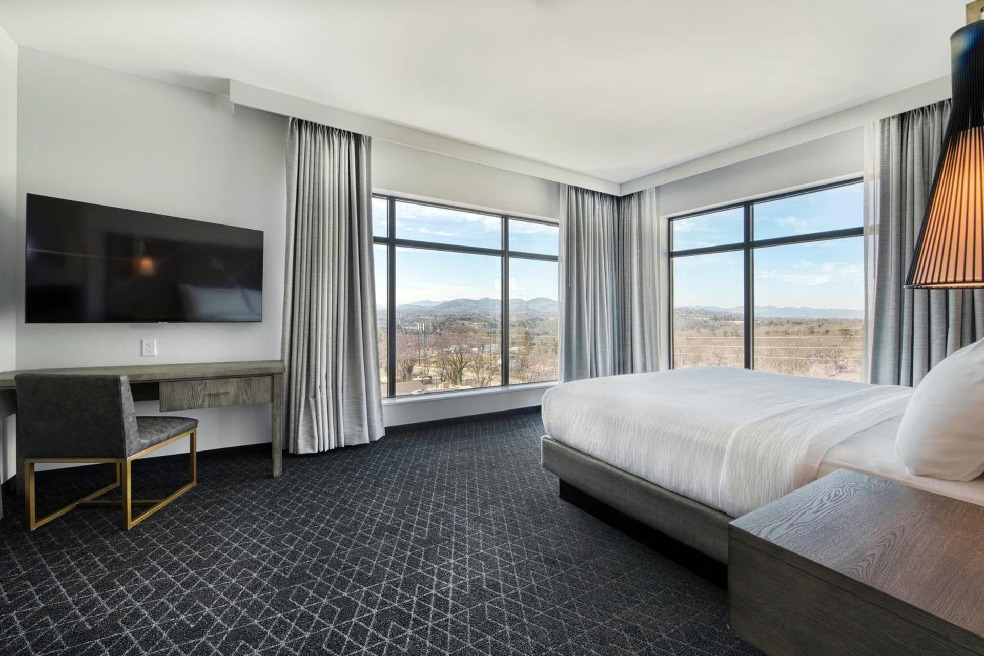 Embassy Suites By Hilton Asheville Downtown gallery photo in Asheville, NC — image 77