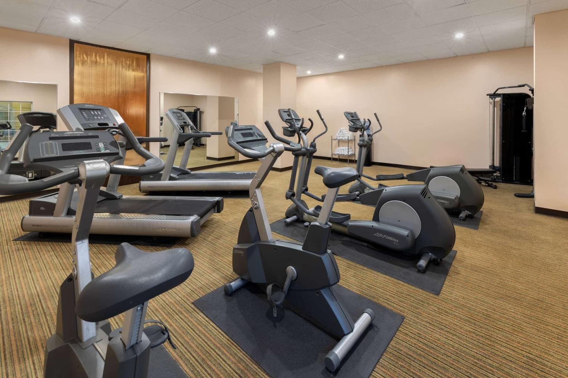 La Quinta by Wyndham San Antonio Medical Ctr. NW gallery photo in San Antonio, TX — image 58