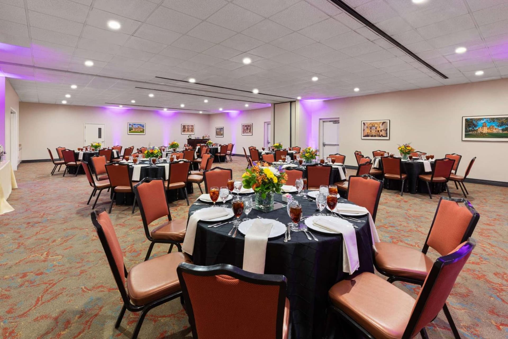 La Quinta by Wyndham San Antonio Medical Ctr. NW gallery photo in San Antonio, TX — image 17