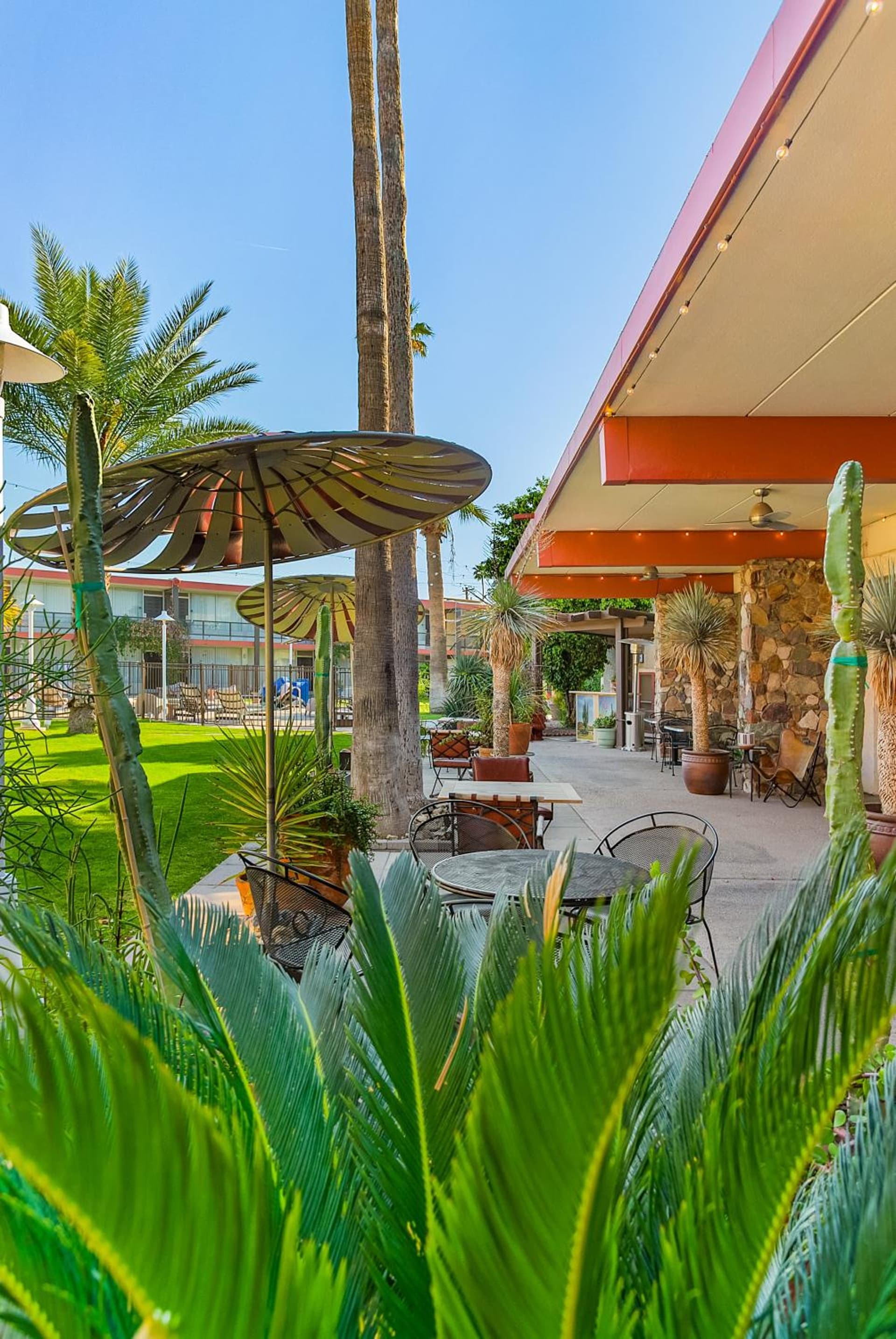 Papago Scottsdale by Reside, Trademark Collection by Wyndham gallery photo in Scottsdale, AZ — image 16