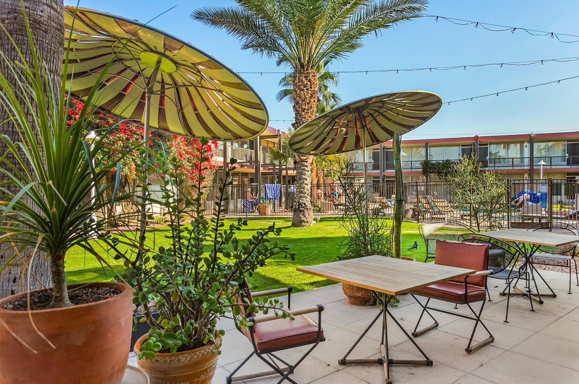 Papago Scottsdale by Reside, Trademark Collection by Wyndham gallery photo in Scottsdale, AZ — image 107