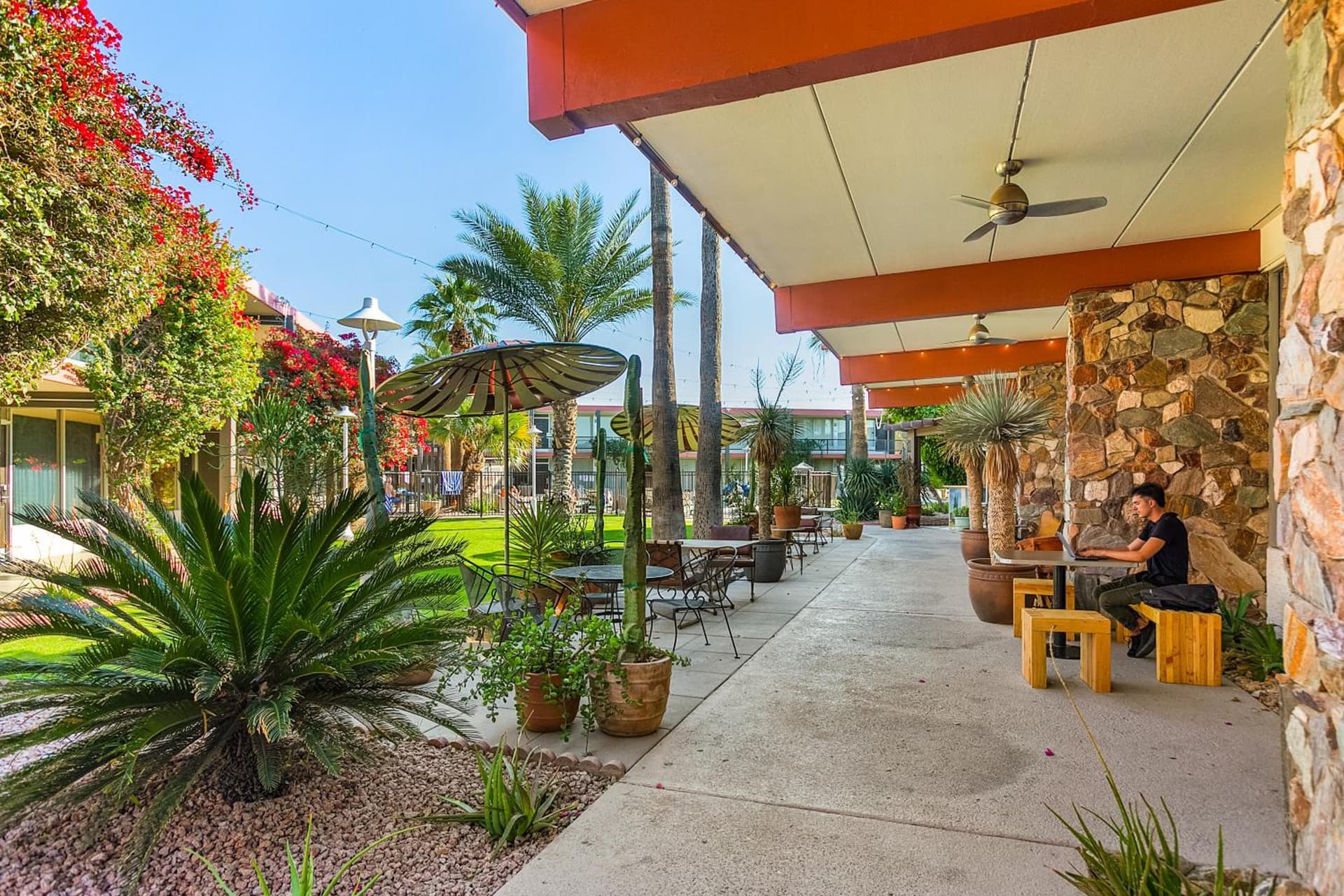 Papago Scottsdale by Reside, Trademark Collection by Wyndham gallery photo in Scottsdale, AZ — image 128
