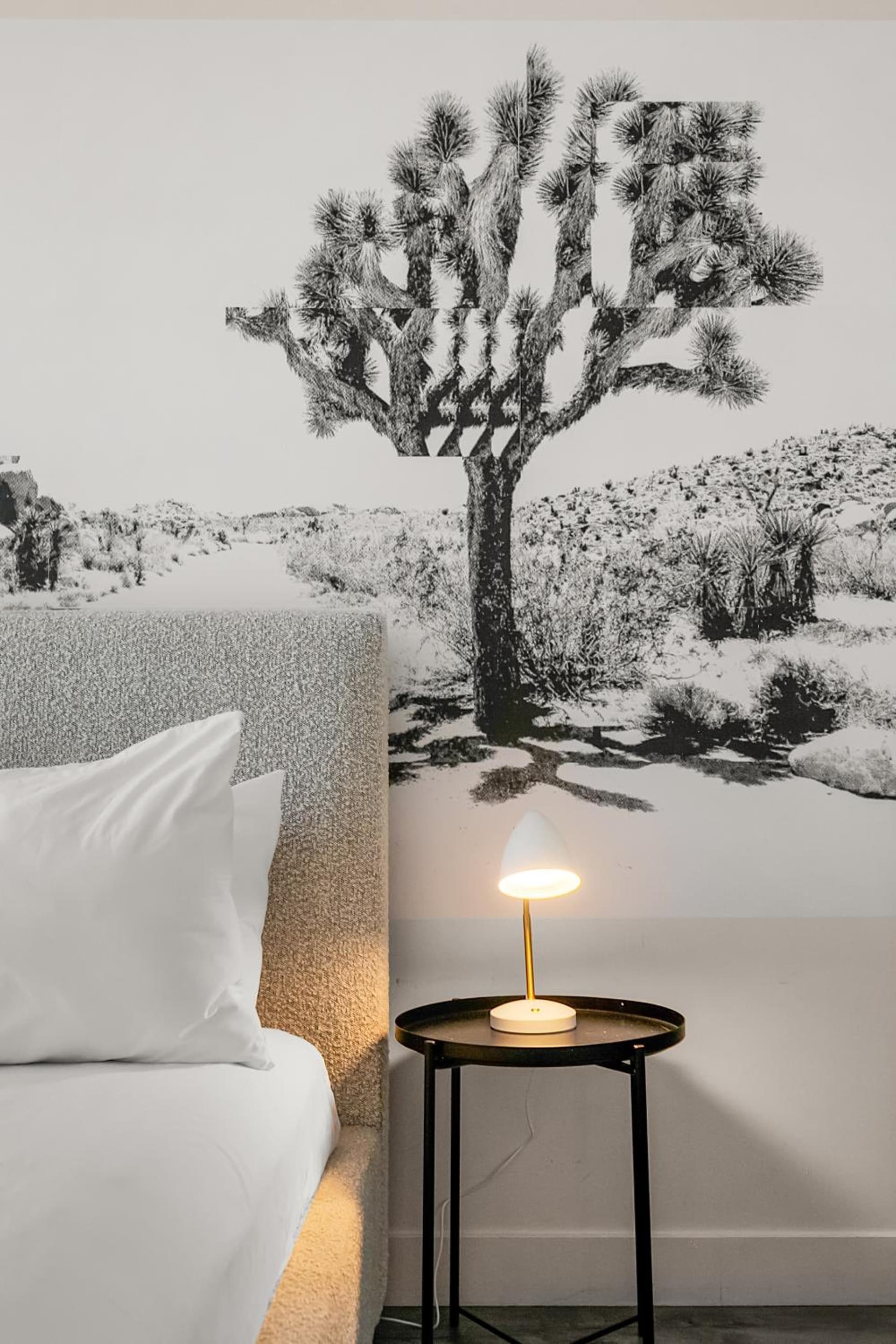 Papago Scottsdale by Reside, Trademark Collection by Wyndham gallery photo in Scottsdale, AZ — image 96
