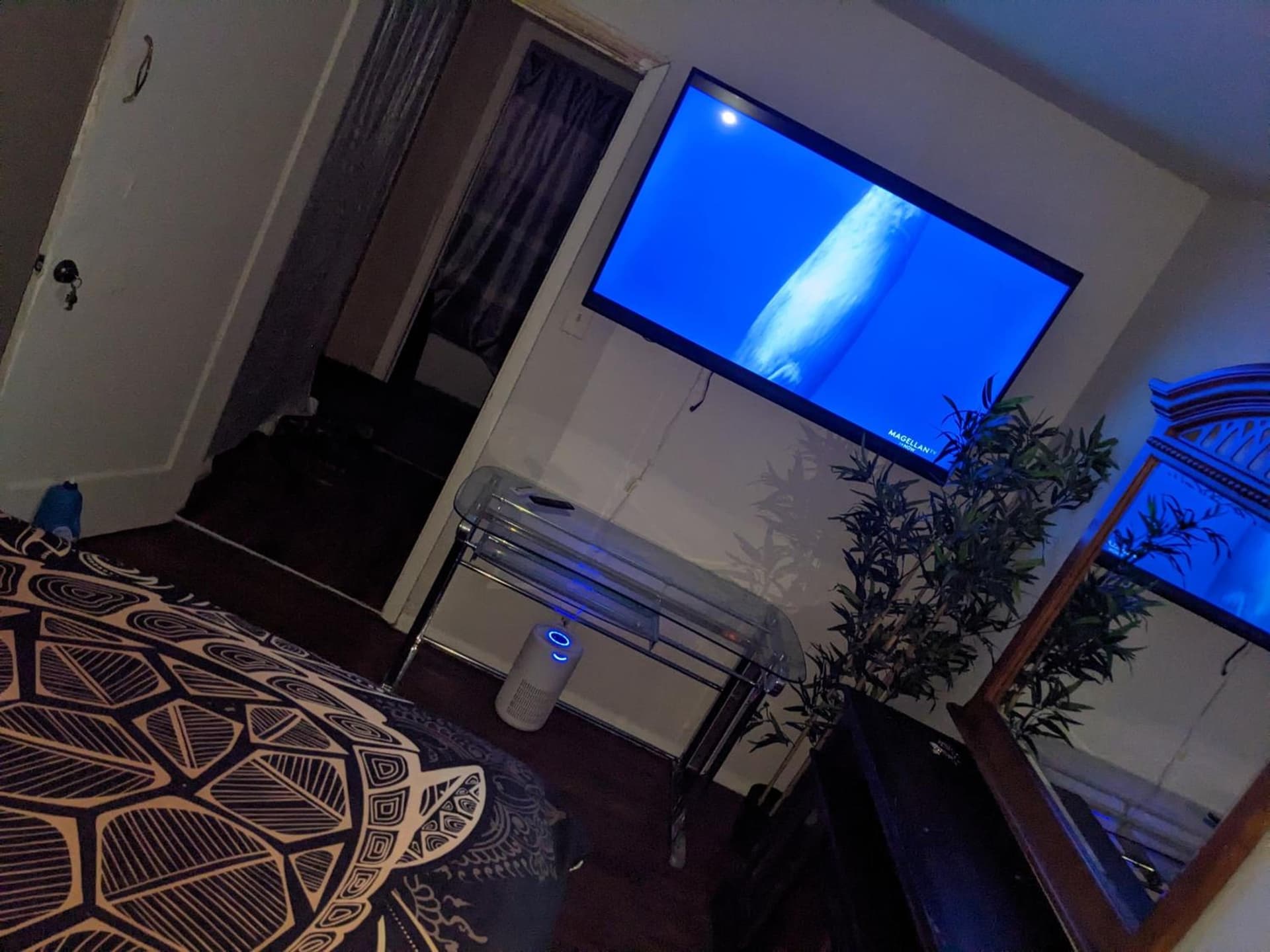 Bunny's Bungalow interior in Las Vegas, NV — gallery photo 2