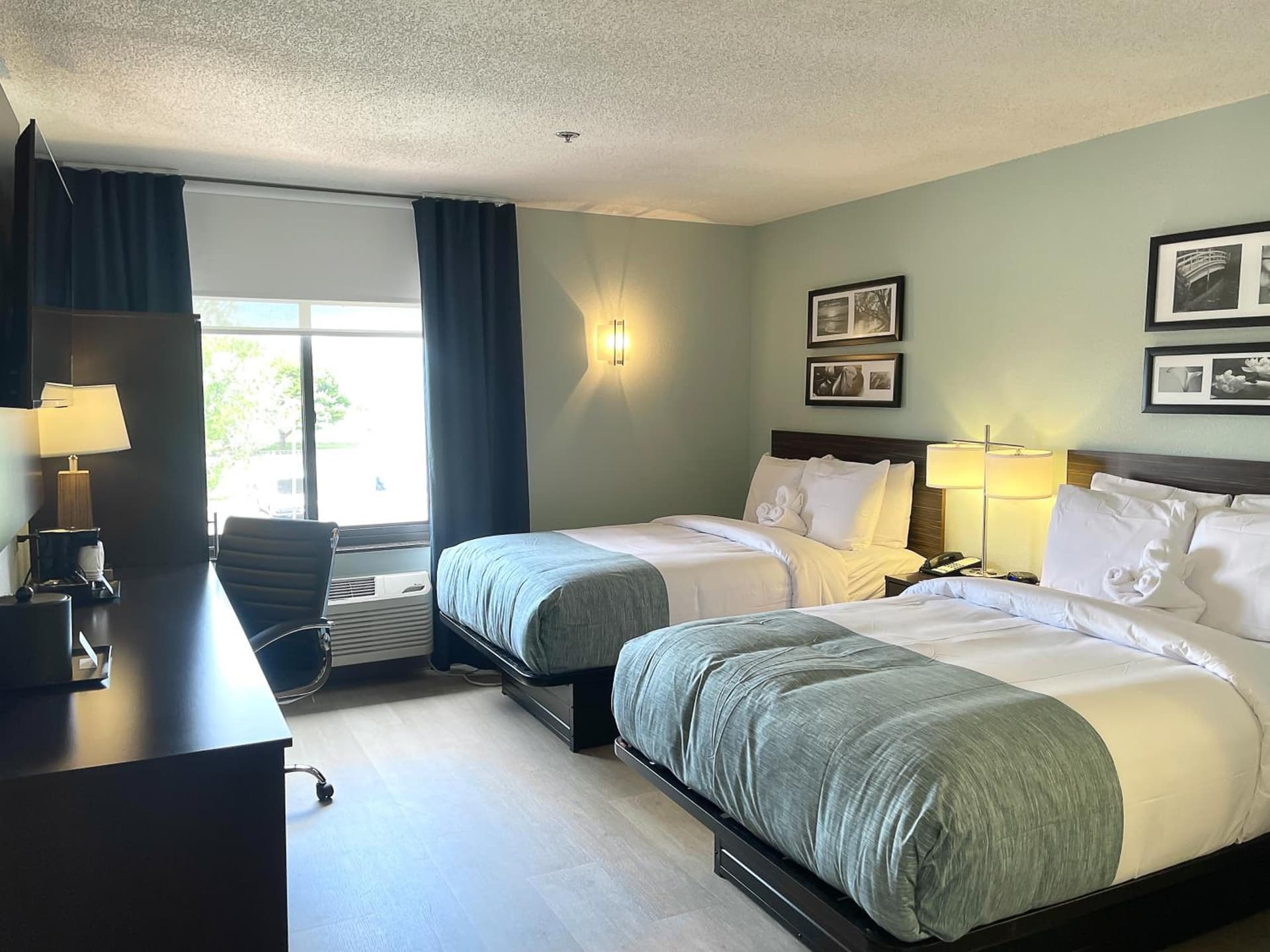 Wingate by Wyndham Salisbury MD Airport North gallery photo in Salisbury, MD — image 37