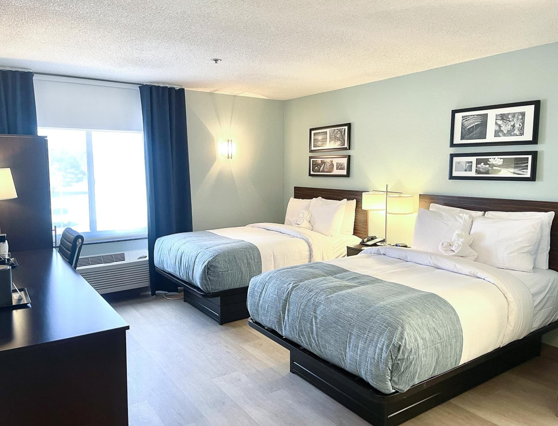 Wingate by Wyndham Salisbury MD Airport North gallery photo in Salisbury, MD — image 64