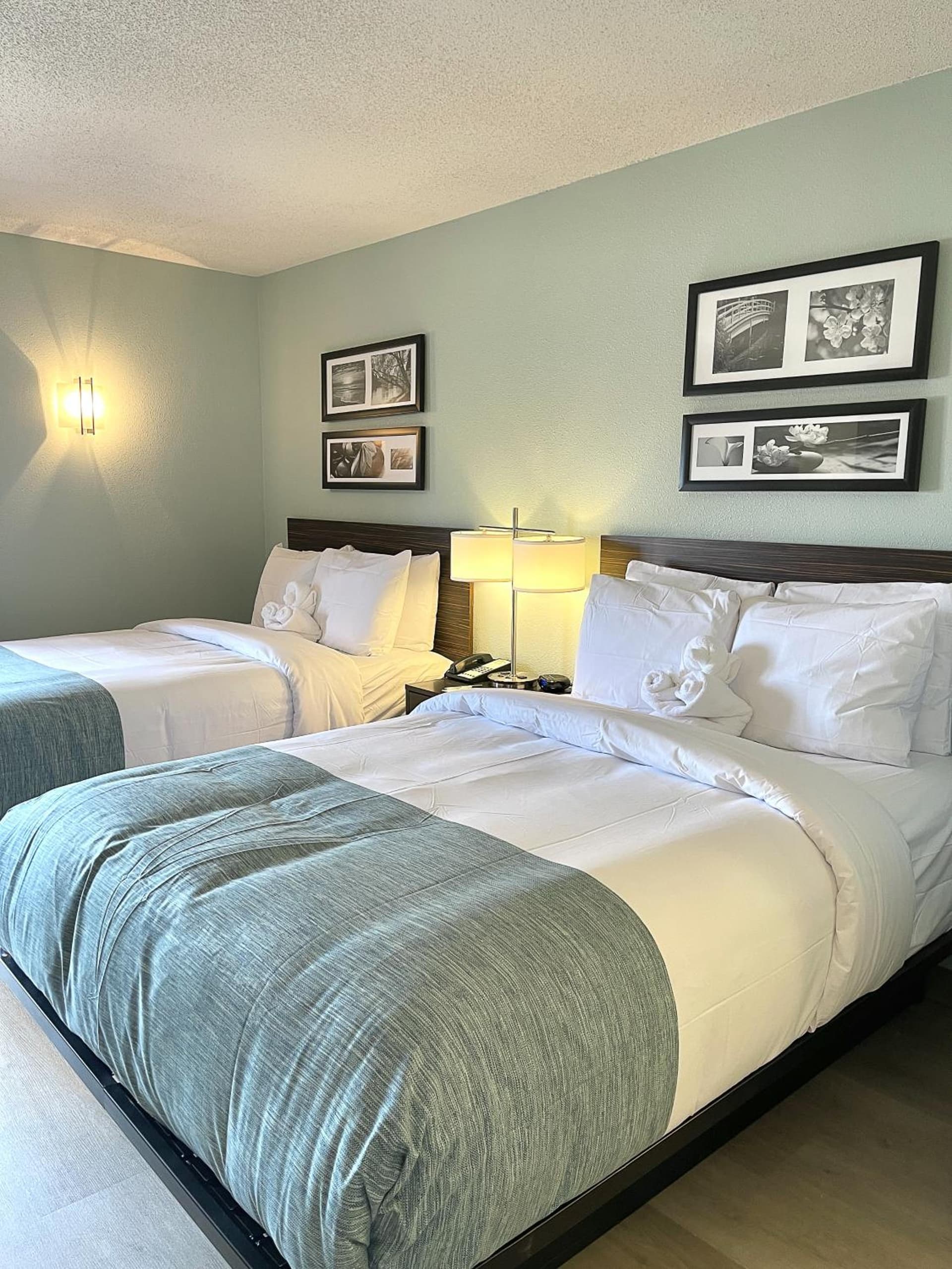 Wingate by Wyndham Salisbury MD Airport North gallery photo in Salisbury, MD — image 42
