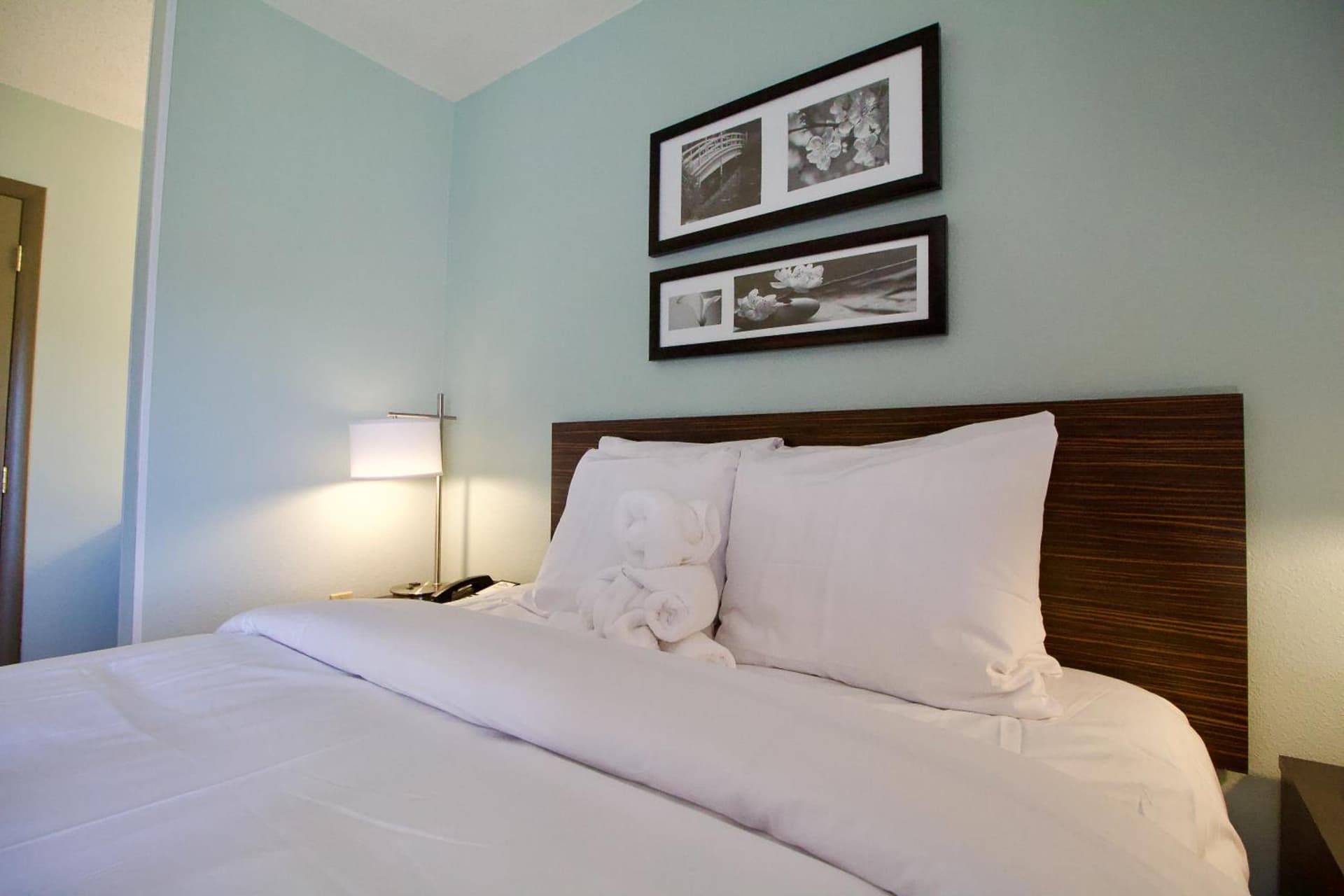 Wingate by Wyndham Salisbury MD Airport North gallery photo in Salisbury, MD — image 10