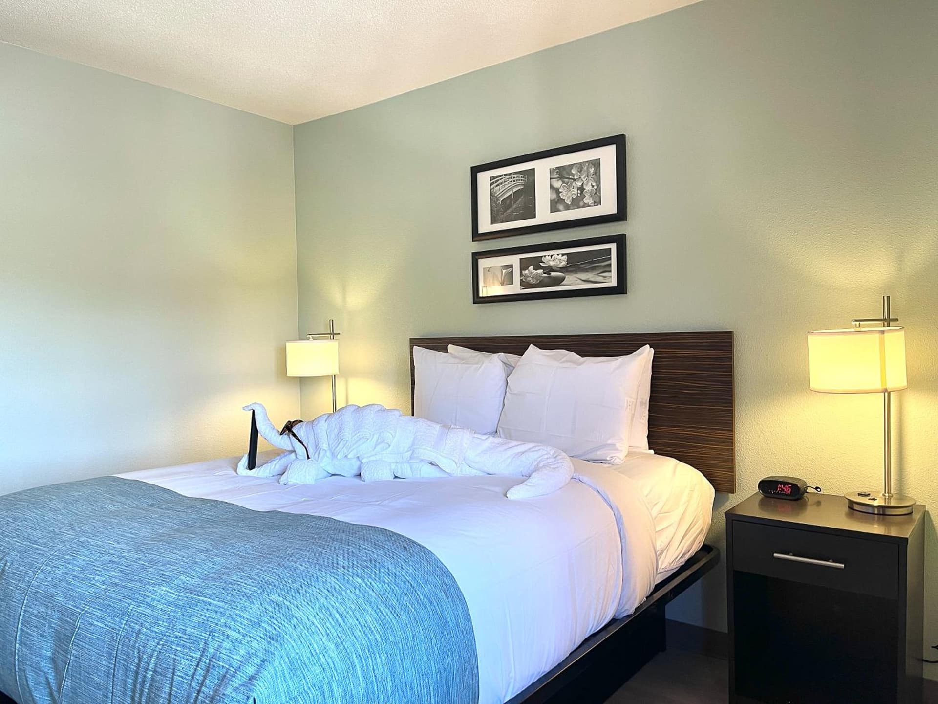 Wingate by Wyndham Salisbury MD Airport North gallery photo in Salisbury, MD — image 26