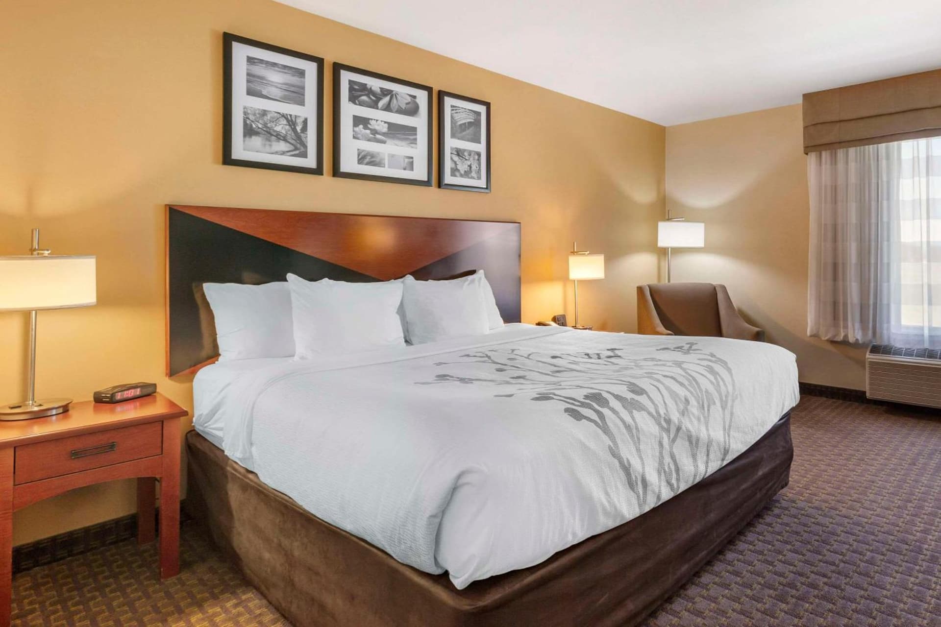 Garner Hotel Idaho Falls Southwest by IHG gallery photo in Idaho Falls, ID — image 29