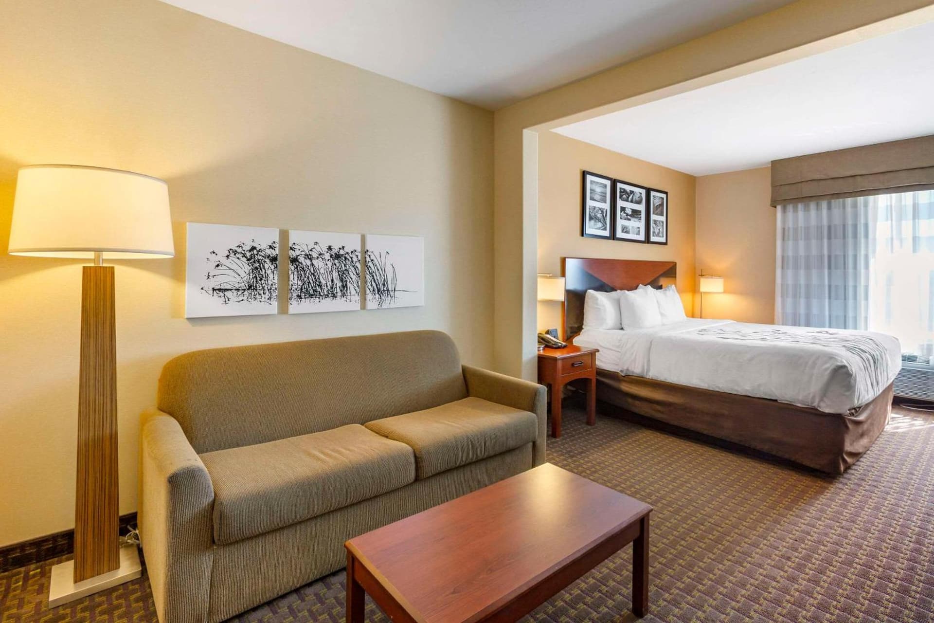 Garner Hotel Idaho Falls Southwest by IHG gallery photo in Idaho Falls, ID — image 25